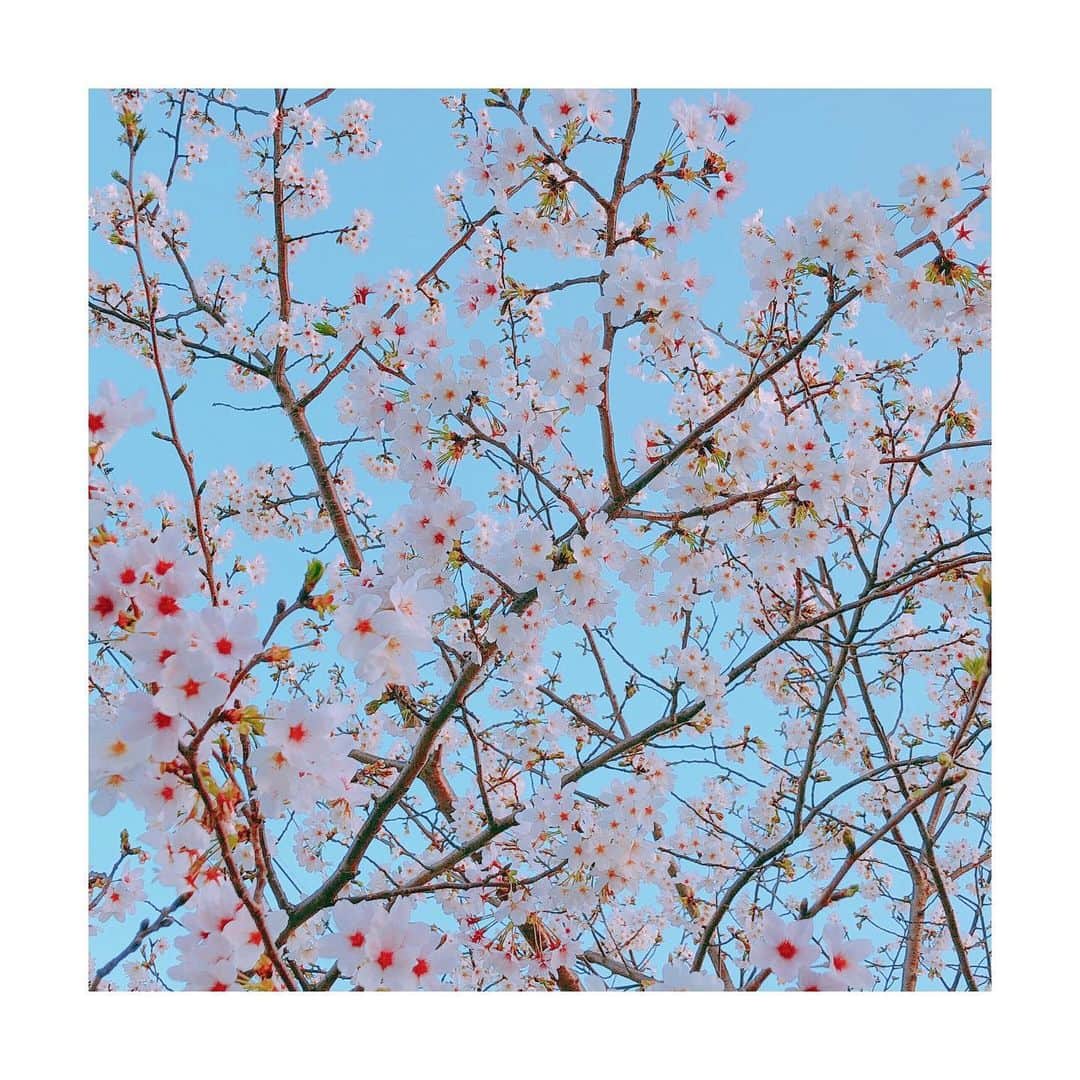佐々木瞳のインスタグラム