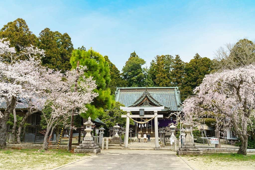 福島県さんのインスタグラム写真 - (福島県Instagram)「来て！ 相馬小高神社の桜 中世の奥州相馬氏の居城であった小高城跡にあり、相馬野馬追3日目の野馬懸（のまがけ）の祭場で知られる小高神社の境内には、樹齢100年以上の桜の木が約130本あり、神社の前にはシダレザクラが咲き誇ります。※画像は以前のものです。見頃は4月上・中旬です。 #南相馬市 #小高区 #相馬小高神社 #桜 #福島 #ふくしま #ふくしまからはじめよう #来て #fukushima #traveljapan #futurefromfukushima #japantrip #fukushimatrip #art_of_japan #instagramjapan #japan_of_insta  #insta_fukushima  #special_spot_」3月28日 17時31分 - realize_fukushima