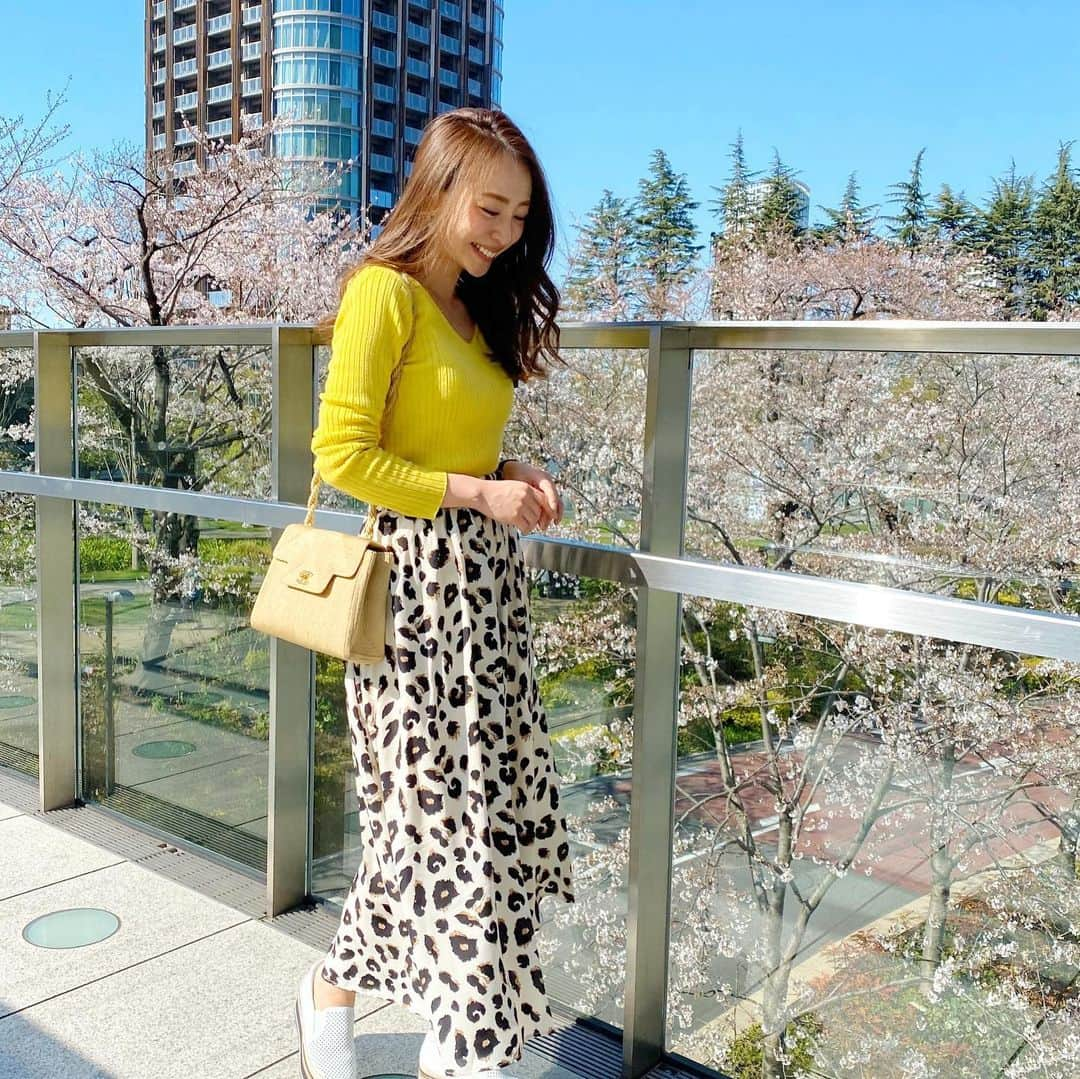 磯部奈央さんのインスタグラム写真 - (磯部奈央Instagram)「いつかのCoordinate♡ . レオパード柄は、カジュアルに合わせてます☀️ . . . #tops ... どこのだったかな… #skirt ... #fifth  #bag …#chanel  #shoes …#neuemarche . . #coordinate #ootd #instafashion #outfit #fifthtl #フィフス #プチプラコーデ #コーデ #シンプルコーデ #ファッション #コーディネート #平均身長コーデ #カジュアル #ウエストゴムレオパードフレアスカート #スカート #ママコーデ #産後3ヶ月  @fifth_store ←今日は60%Offでした！」3月28日 17時40分 - nao_isobe729