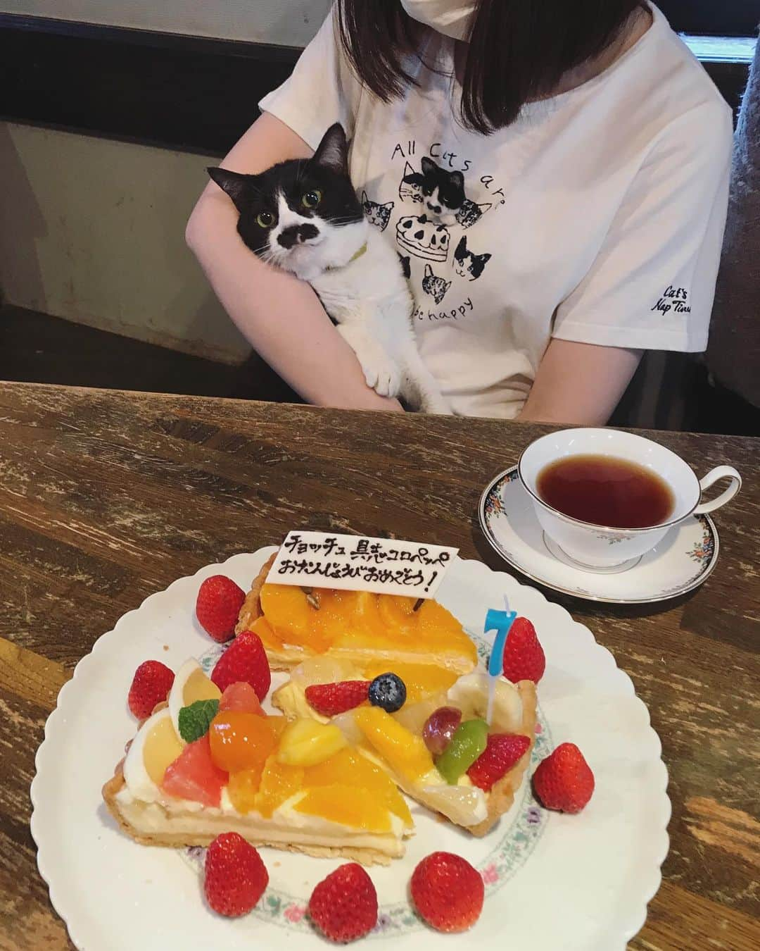 もじゃころさんのインスタグラム写真 - (もじゃころInstagram)「今日は祝日㊗️ チョッチュ具志コロペッペ7歳のお誕生日🎉🎉🎉おめでとーペッペェ〜〜〜🤩👏👏👏 小さい頃も信じられないほど可愛かったけど、今はもっともっとかわいいよ🥰大好きだよーーー❤ ギネスの長寿記録を塗り替えて、チョッチュ具志コロペッペという名を世界に轟かせてくれ！！ 今年の”7”のロウソクは、17歳と27歳と37歳のときのために大事に取っておくね😉  毎年同じ服装で祝ってるw  #チョッチュ具志コロペッペ  #あいちゃんの膝の上  #誕生日 #hbd🎂 #キルフェボン」3月28日 17時51分 - mojyacoro96