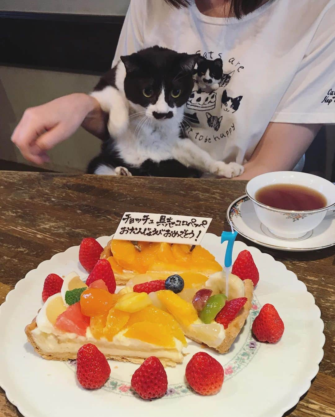 もじゃころさんのインスタグラム写真 - (もじゃころInstagram)「今日は祝日㊗️ チョッチュ具志コロペッペ7歳のお誕生日🎉🎉🎉おめでとーペッペェ〜〜〜🤩👏👏👏 小さい頃も信じられないほど可愛かったけど、今はもっともっとかわいいよ🥰大好きだよーーー❤ ギネスの長寿記録を塗り替えて、チョッチュ具志コロペッペという名を世界に轟かせてくれ！！ 今年の”7”のロウソクは、17歳と27歳と37歳のときのために大事に取っておくね😉  毎年同じ服装で祝ってるw  #チョッチュ具志コロペッペ  #あいちゃんの膝の上  #誕生日 #hbd🎂 #キルフェボン」3月28日 17時51分 - mojyacoro96