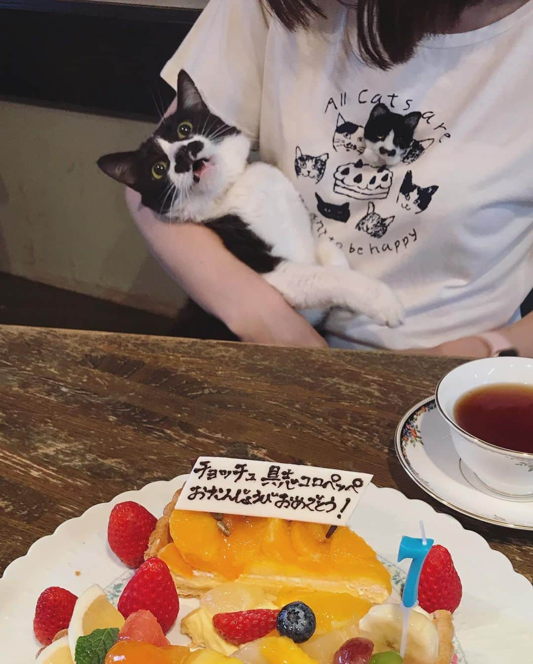 もじゃころさんのインスタグラム写真 - (もじゃころInstagram)「今日は祝日㊗️ チョッチュ具志コロペッペ7歳のお誕生日🎉🎉🎉おめでとーペッペェ〜〜〜🤩👏👏👏 小さい頃も信じられないほど可愛かったけど、今はもっともっとかわいいよ🥰大好きだよーーー❤ ギネスの長寿記録を塗り替えて、チョッチュ具志コロペッペという名を世界に轟かせてくれ！！ 今年の”7”のロウソクは、17歳と27歳と37歳のときのために大事に取っておくね😉  毎年同じ服装で祝ってるw  #チョッチュ具志コロペッペ  #あいちゃんの膝の上  #誕生日 #hbd🎂 #キルフェボン」3月28日 17時51分 - mojyacoro96