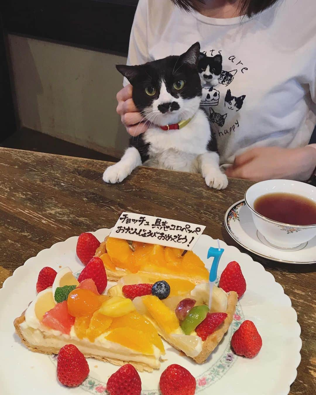 もじゃころさんのインスタグラム写真 - (もじゃころInstagram)「今日は祝日㊗️ チョッチュ具志コロペッペ7歳のお誕生日🎉🎉🎉おめでとーペッペェ〜〜〜🤩👏👏👏 小さい頃も信じられないほど可愛かったけど、今はもっともっとかわいいよ🥰大好きだよーーー❤ ギネスの長寿記録を塗り替えて、チョッチュ具志コロペッペという名を世界に轟かせてくれ！！ 今年の”7”のロウソクは、17歳と27歳と37歳のときのために大事に取っておくね😉  毎年同じ服装で祝ってるw  #チョッチュ具志コロペッペ  #あいちゃんの膝の上  #誕生日 #hbd🎂 #キルフェボン」3月28日 17時51分 - mojyacoro96