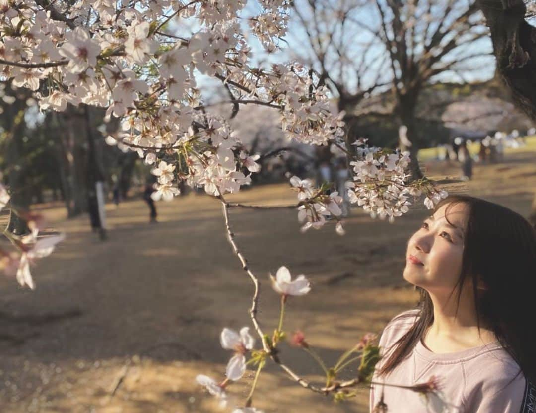 名取稚菜さんのインスタグラム写真 - (名取稚菜Instagram)「♛ 前にお散歩しながら少し 桜見た時の🌸 何も気にせずのんびりお散歩したり 遊びに行ったり出来る日が 早く来て欲しいね🥺🙏 . 私はお仕事以外はどうぶつの森の世界に 引きこもろうかな😗笑 .」3月28日 18時37分 - wakana_1995