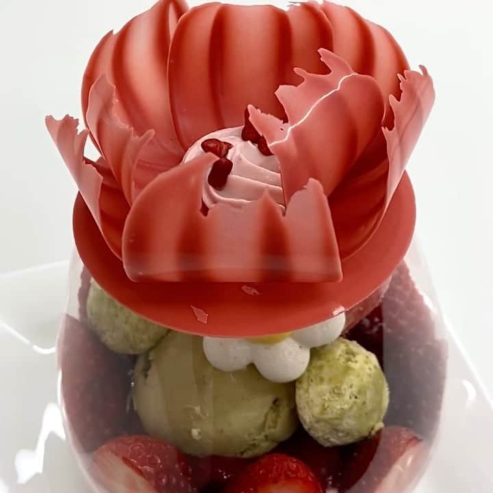 市川歩美のグルメインスタ