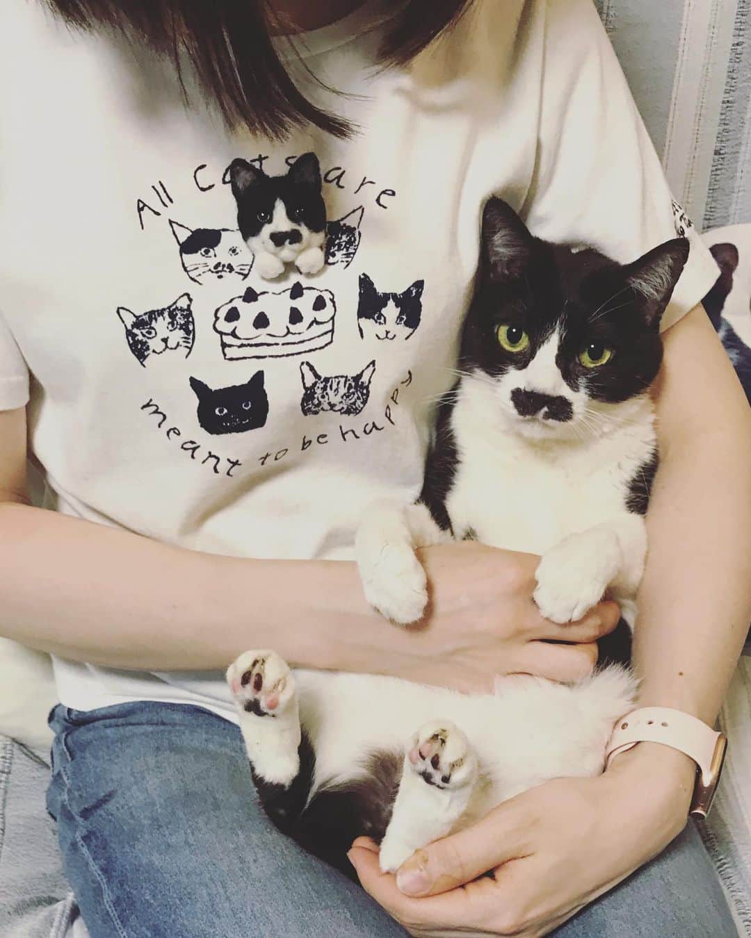もじゃころのインスタグラム：「2018年以降誕生日の正装はこれって決まってます！ #catsissue さんと #afternoontealiving さんのコラボアイテムのネコチャンバースデーTシャツ😺 今年は @nekosukihentai さんが作ってくれたペッペブローチつけたらパーティーの主役感でてとても良き😂💕💕 今日は夏のような暑さだったので半袖でしたw  #チョッチュ具志コロペッペ  #あいちゃんの膝の上  #誕生日 #hbd🎂 #catsnaptime」