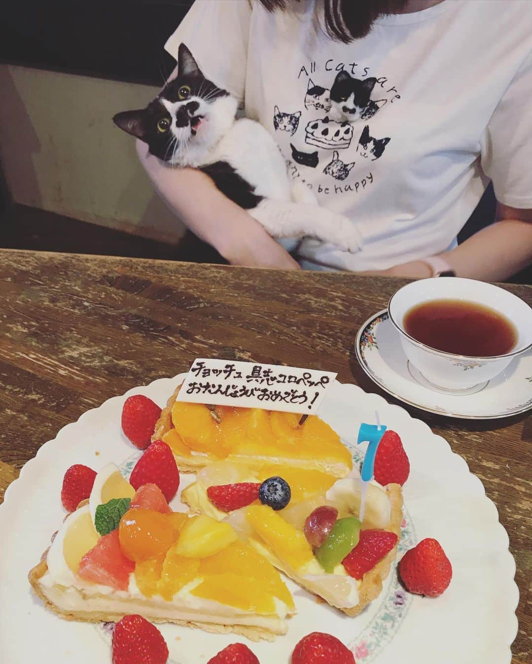 もじゃころさんのインスタグラム写真 - (もじゃころInstagram)「2018年以降誕生日の正装はこれって決まってます！ #catsissue さんと #afternoontealiving さんのコラボアイテムのネコチャンバースデーTシャツ😺 今年は @nekosukihentai さんが作ってくれたペッペブローチつけたらパーティーの主役感でてとても良き😂💕💕 今日は夏のような暑さだったので半袖でしたw  #チョッチュ具志コロペッペ  #あいちゃんの膝の上  #誕生日 #hbd🎂 #catsnaptime」3月28日 19時05分 - mojyacoro96