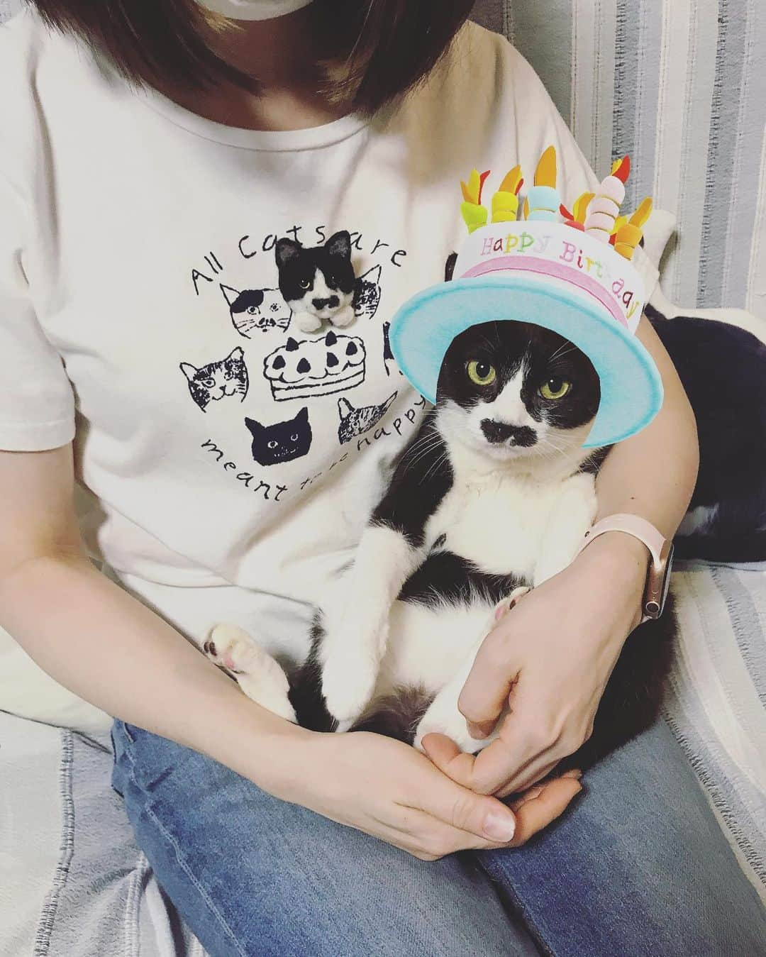 もじゃころさんのインスタグラム写真 - (もじゃころInstagram)「2018年以降誕生日の正装はこれって決まってます！ #catsissue さんと #afternoontealiving さんのコラボアイテムのネコチャンバースデーTシャツ😺 今年は @nekosukihentai さんが作ってくれたペッペブローチつけたらパーティーの主役感でてとても良き😂💕💕 今日は夏のような暑さだったので半袖でしたw  #チョッチュ具志コロペッペ  #あいちゃんの膝の上  #誕生日 #hbd🎂 #catsnaptime」3月28日 19時05分 - mojyacoro96