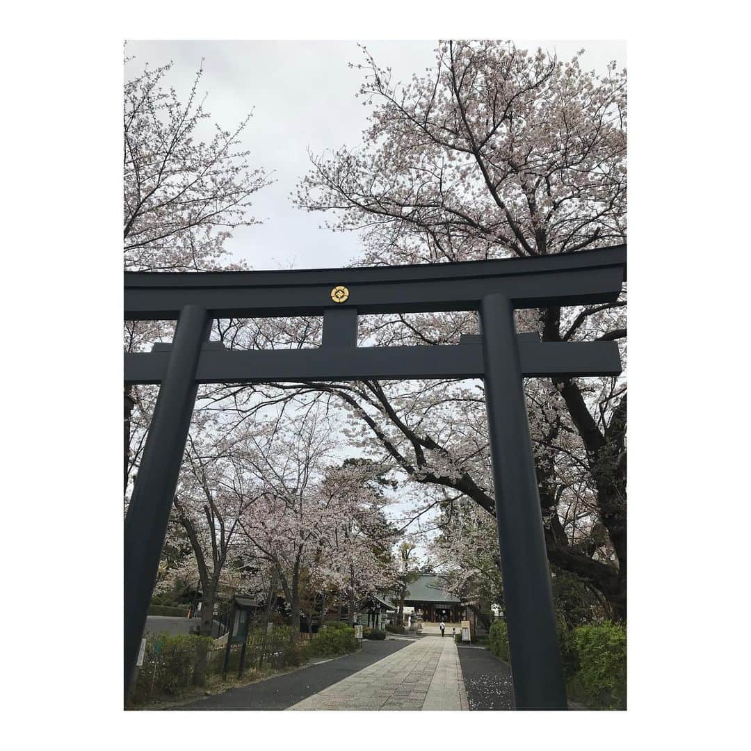 吉村民さんのインスタグラム写真 - (吉村民Instagram)「松陰神社  松蔭先生の周りは 桜がいっぱい🌸  #松陰神社　 #幕末  #吉田松陰  #歴女 #歴史好き  #世田谷区  #桜 #japan  #japanesehistory  #japanesebeauty  #sakura #sakura🌸」3月28日 19時13分 - xxtamixx.y