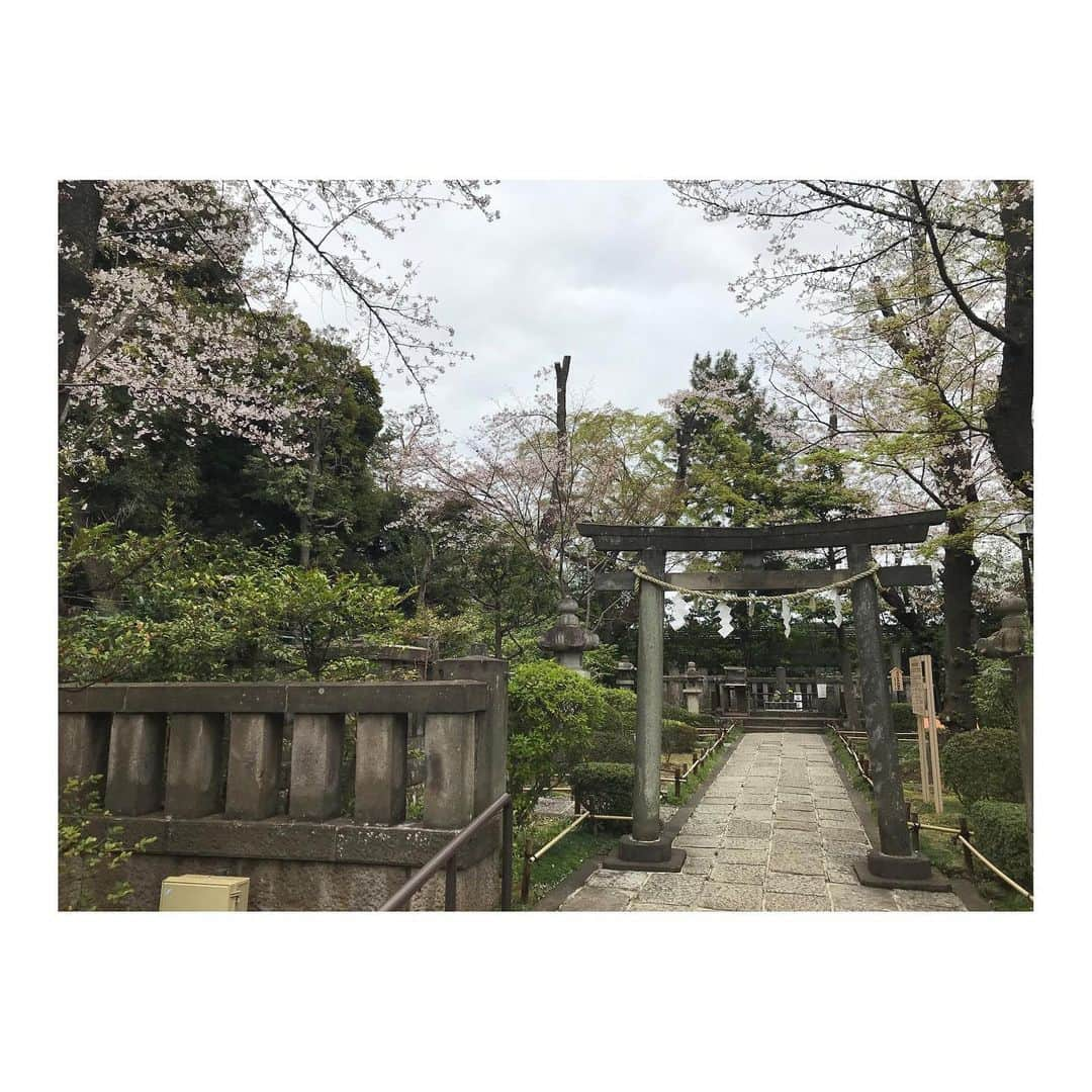 吉村民さんのインスタグラム写真 - (吉村民Instagram)「松陰神社  松蔭先生の周りは 桜がいっぱい🌸  #松陰神社　 #幕末  #吉田松陰  #歴女 #歴史好き  #世田谷区  #桜 #japan  #japanesehistory  #japanesebeauty  #sakura #sakura🌸」3月28日 19時13分 - xxtamixx.y