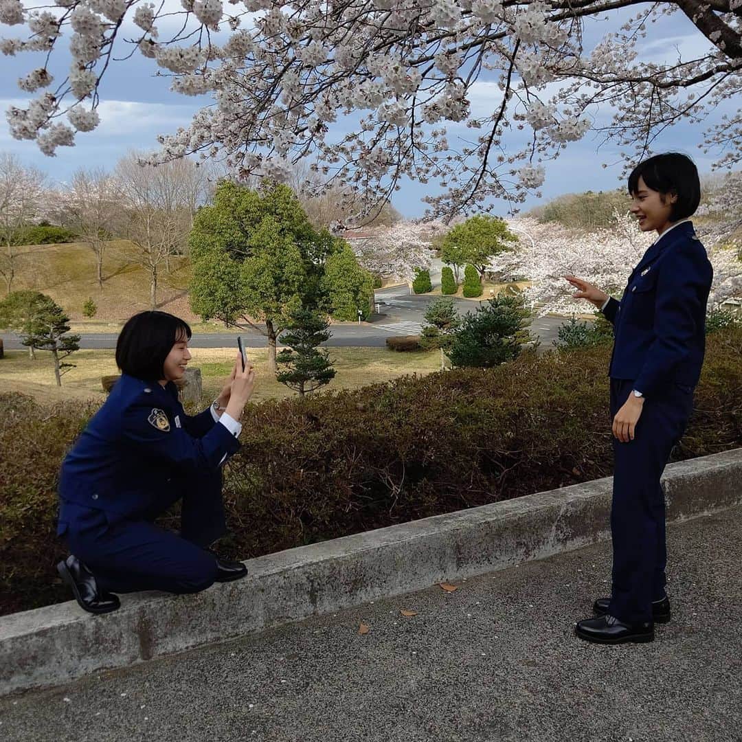 未満警察 ミッドナイトランナー【公式】さんのインスタグラム写真 - (未満警察 ミッドナイトランナー【公式】Instagram)「桜がキレイに咲いていたので撮影の合間に。 #大幡しえり #傳谷英里香 #未満警察 #みんな考えることは一緒」3月28日 19時16分 - mimankeisatsu