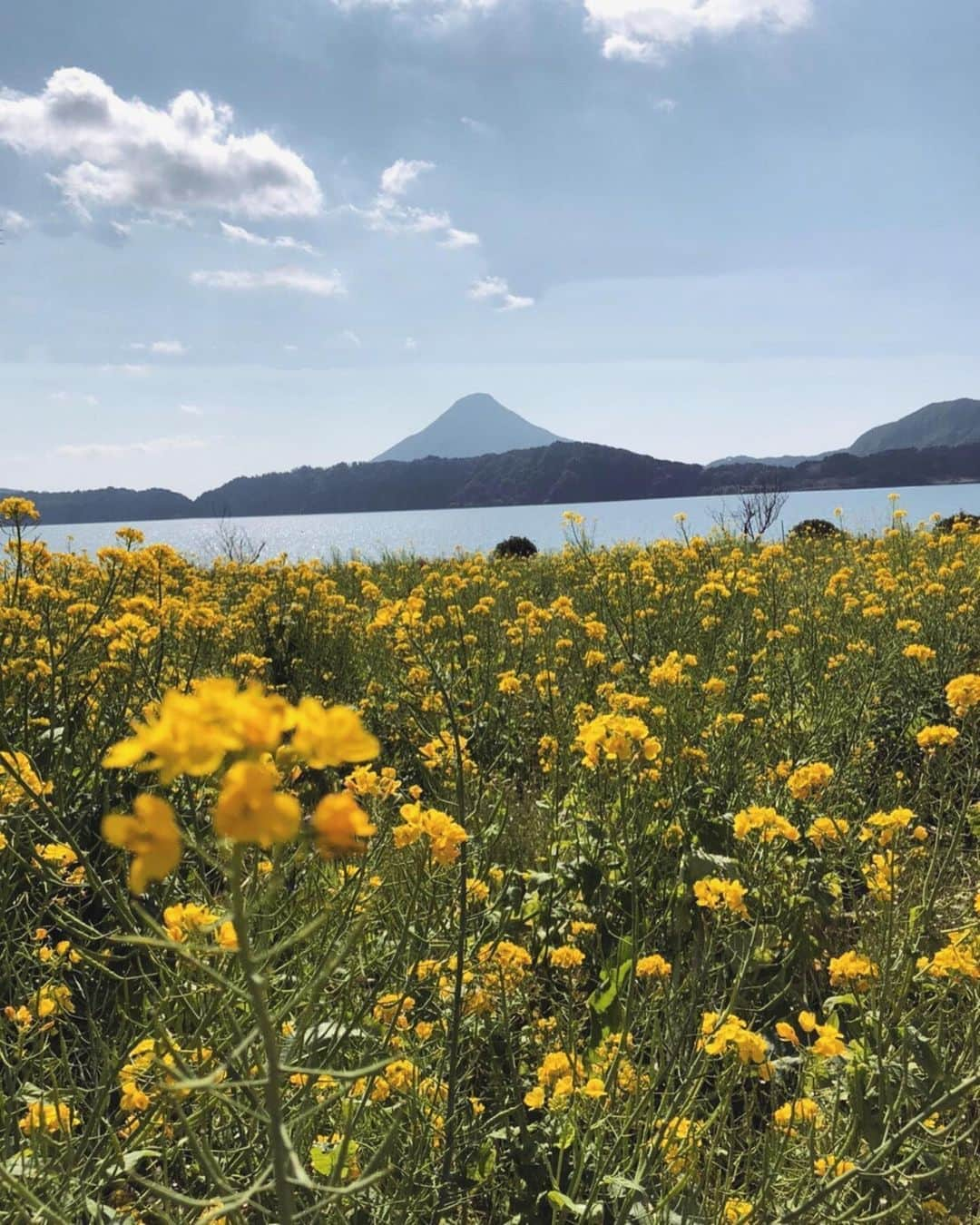 野原遥さんのインスタグラム写真 - (野原遥Instagram)「#鹿児島テレビ #Sunnydoor #ロケ #野原遥 _ 先日Instagramにもアップしていますが、鹿児島テレビの「Sunny door～旅する鹿児島～」のロケで、鹿児島県の南薩摩エリアに行ってきたよ🥳♡ _ 私は人生初の鹿児島県！ 今回様々な観光スポットを回らせて頂きましたが、どこも自然豊かで食べ物が美味しく、人も温かいとっても素敵な場所でした！✨ _ 中でも印象的だったのが 「釜蓋神社」と「砂蒸し風呂」！ 「窯の蓋を頭に乗せて、鳥居から拝殿まで蓋を落とさずに歩く事ができたら願いが叶う」と言われている釜蓋神社での行いは、めちゃくちゃ難しいながら見事大成功！！笑 海と開聞岳を一望できるこのスポットは強いパワーをもらえるパワースポットなんだとか🤔💓 _ そして海辺に広がる砂蒸し風呂では、小波のBGMを聴きながら温かくずっしりと重い砂に包まれて、身体の芯から温まりしっかりとデトックスされる感じがなんとも気持ちが良くてたまらないひと時を過ごせます🤤🤤 _ 2日間に渡って過ごした鹿児島は、地元の方々の温かみにも触れとても穏やかで優しい気持ちになれるとても魅力的な場所☺️💐 _ 初のテレビロケという事で非常に拙い進行なのですが笑笑 本日からドワンゴにて配信されているので、ぜひぜひご覧いただければ嬉しいです❤️ ご覧頂いた感想もお待ちしています🤣笑 _ _ #女子旅 #鹿児島 #supportedbykts #鹿児島旅行 #鹿児島グルメ #girlstrip #girlstravel #travelphotography」3月28日 19時51分 - noharu1021