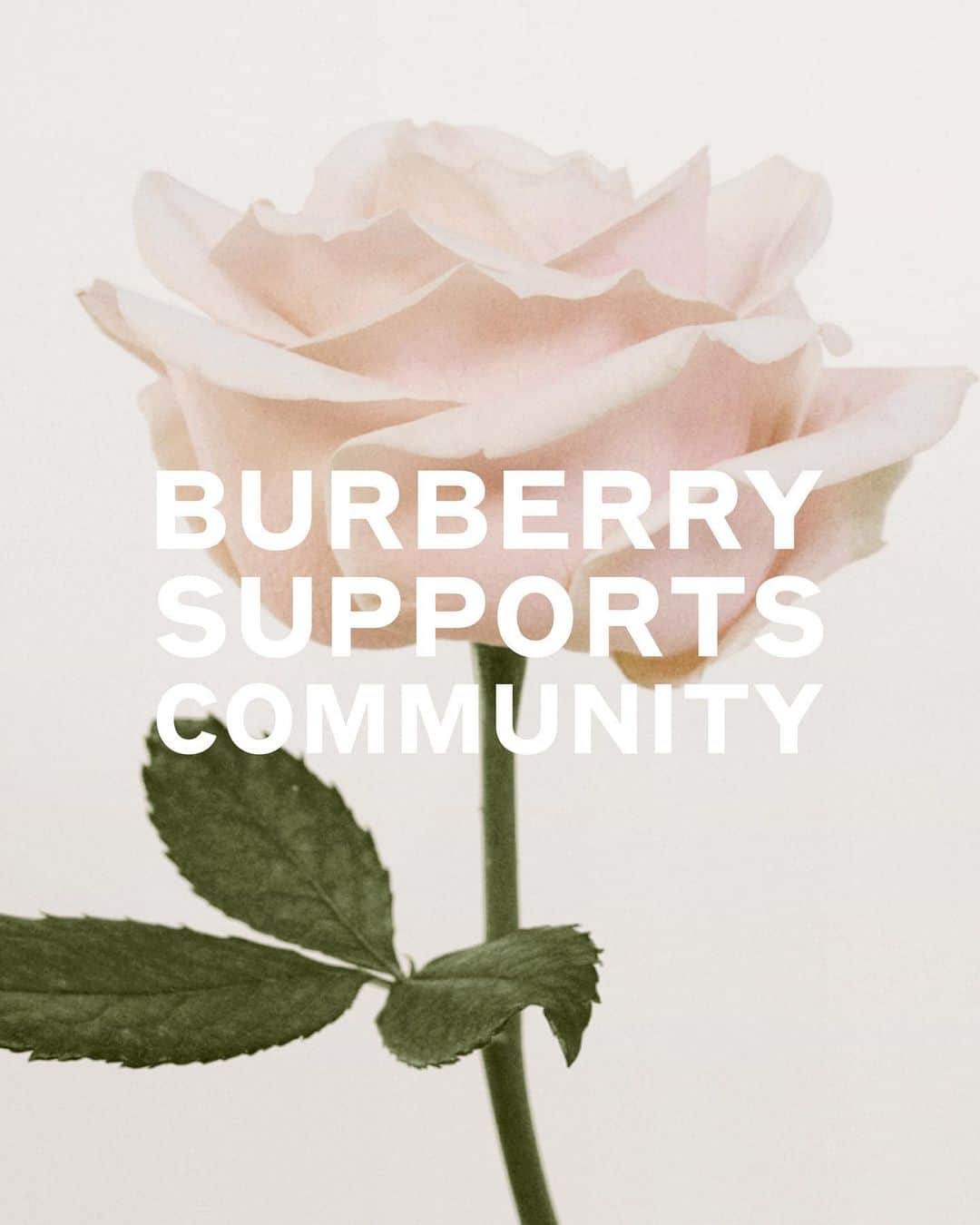 Burberryさんのインスタグラム写真 - (BurberryInstagram)「3/3 Burberry contributes to the fight against COVID-19.  We are donating to charities that are dedicated to tackling food poverty across the UK, including FareShare and The Felix Project. With increasing pressures on food supplies for those in need, these organisations are expanding their efforts to help those struggling as a result of the coronavirus outbreak.  Though we are apart, we stand together.  Stay safe, #StayHome.」3月28日 20時01分 - burberry