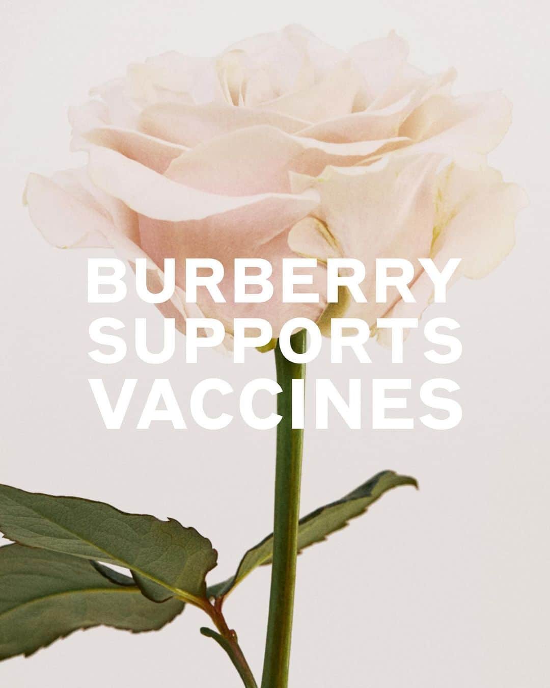 Burberryさんのインスタグラム写真 - (BurberryInstagram)「2/3 Burberry contributes to the fight against COVID-19.  We are funding research into a single-dose vaccine developed by the University of Oxford. The University has one of the world’s best track records in emergency vaccine development, and its COVID-19 vaccine is on course to begin human trials next month.  Though we are apart, we stand together.  Stay safe, #StayHome.」3月28日 20時00分 - burberry