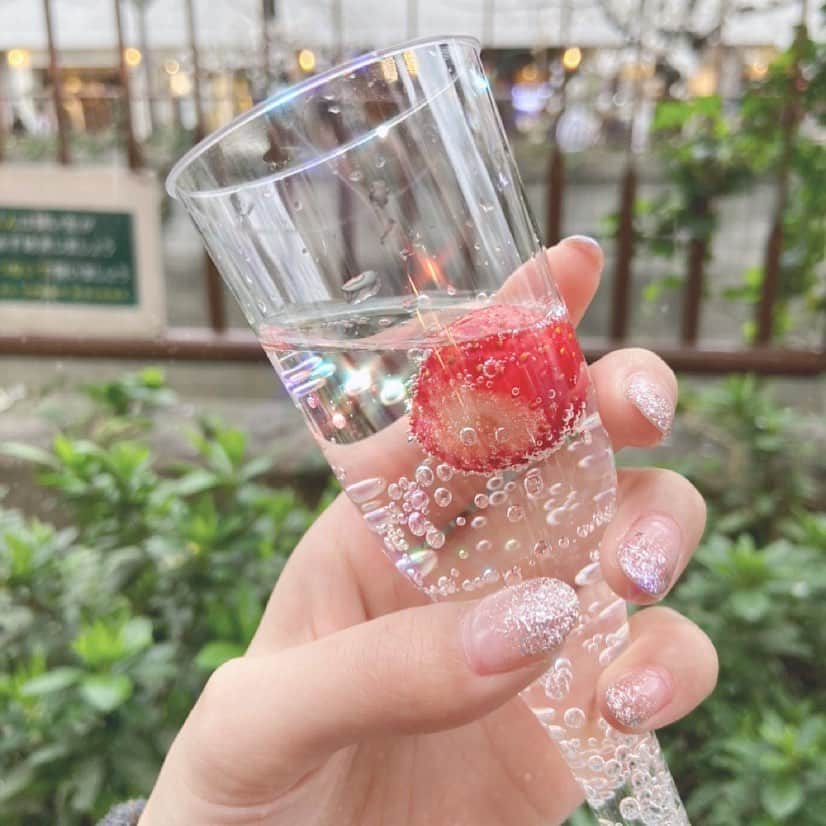 川井優沙さんのインスタグラム写真 - (川井優沙Instagram)「. 🍓🍓🍓 #strawberry #champagne #cider」3月28日 20時26分 - yuusa_kawai