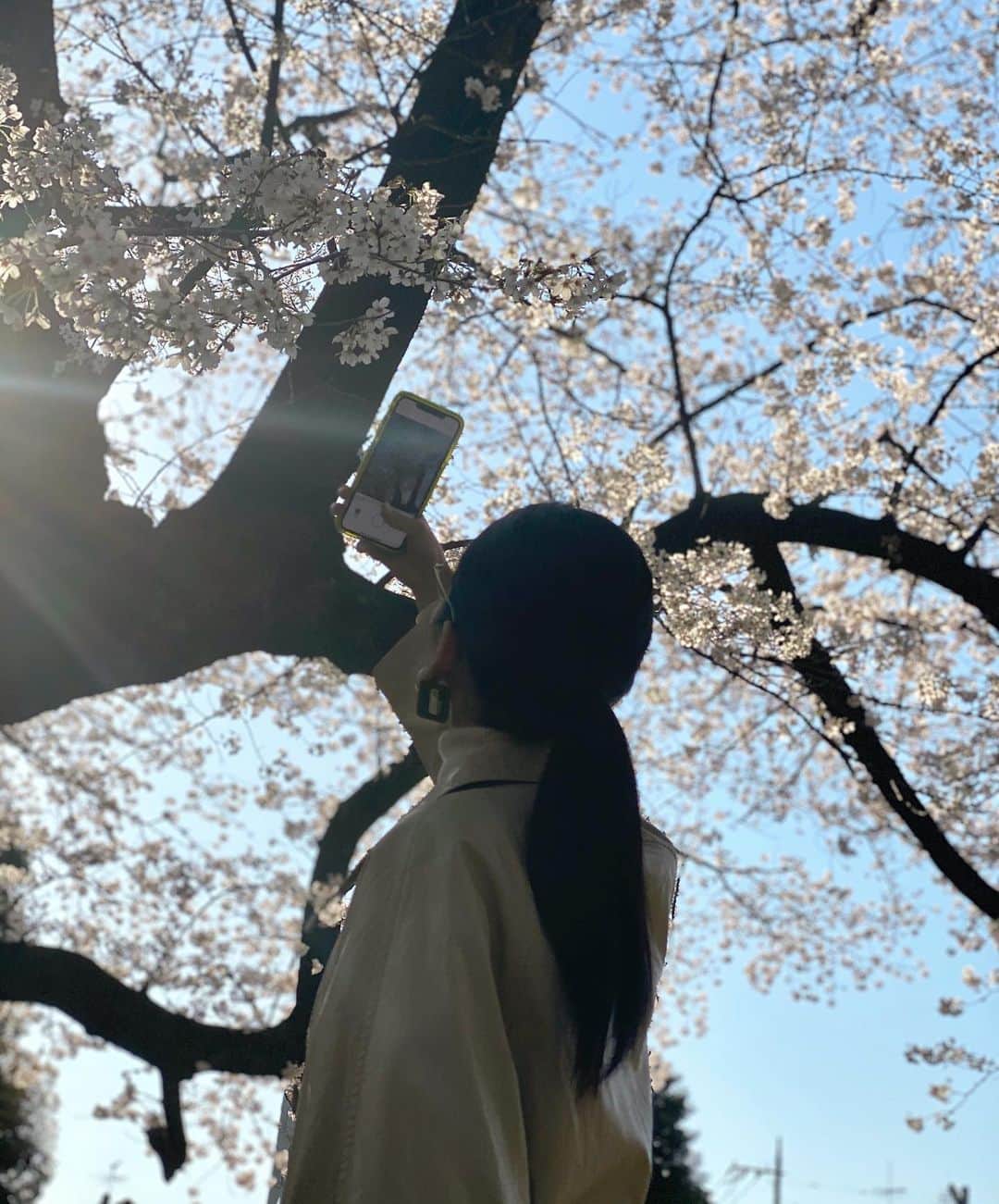 前沢海友さんのインスタグラム写真 - (前沢海友Instagram)「🌸🌸 ㅤㅤㅤㅤㅤㅤㅤㅤㅤㅤㅤㅤㅤ 桜が綺麗な季節なってきたけど、 今年はゆっくり楽しく見に行けなくて寂しい気持ちですね😖 ㅤㅤㅤㅤㅤㅤㅤㅤㅤㅤㅤㅤㅤ 一日でも早く安心した生活が送れますように。 ㅤㅤㅤㅤㅤㅤㅤㅤㅤㅤㅤㅤㅤ #みんなの健康を #おうち時間 #桜 #春の香り」3月28日 20時25分 - maezawamiyu