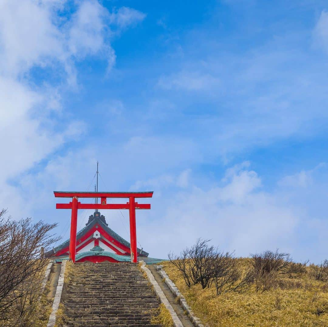 鯖のインスタグラム：「⛩」