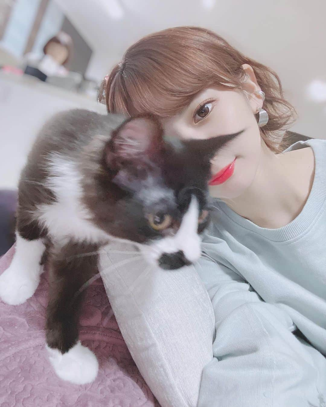 木下ひなこさんのインスタグラム写真 - (木下ひなこInstagram)「ふくふく🐈💕 . . #猫　#猫のいる暮らし #ねこすたぐらむ」3月28日 21時00分 - hinako_0525