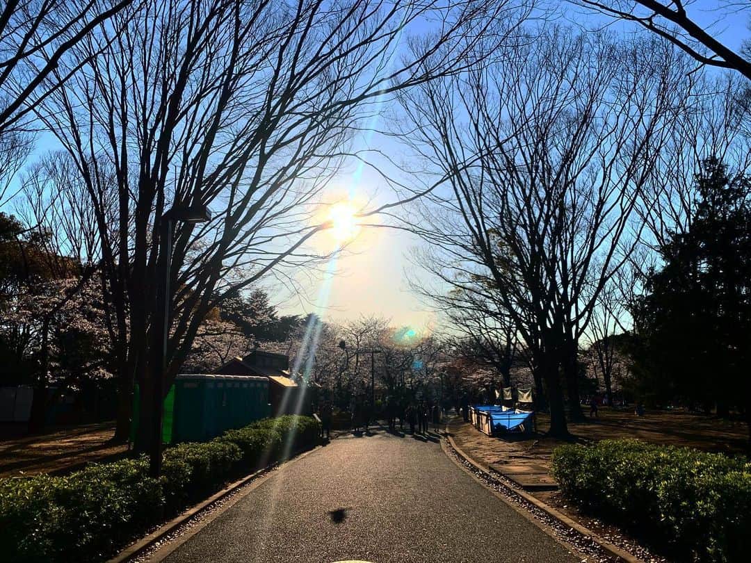 舘野将平さんのインスタグラム写真 - (舘野将平Instagram)「希望の光を信じましょう。  #今出来ること」3月28日 21時09分 - shohei_tateno_921