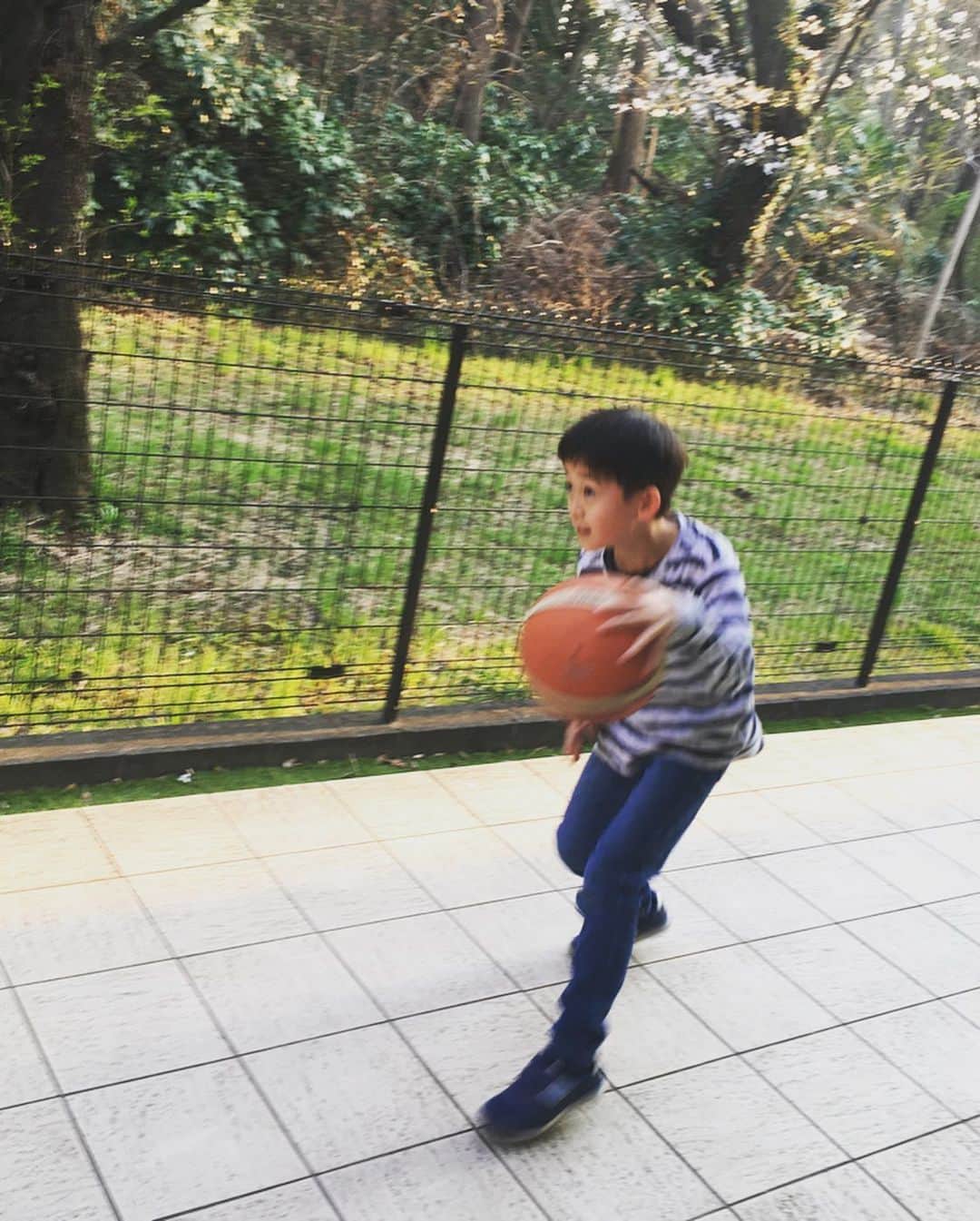 今村沙緒里さんのインスタグラム写真 - (今村沙緒里Instagram)「お兄ちゃんは☺︎ バスケに夢中🏀 嬉しい時は ガッツポーズだよ！ って教えたらすぐしてくれた🐶 はにかみ、かわいい。 早く、自由に、元気に、 外に出かけられる日が来ますように＊ ・ My cousin's son！ He likes basketball. We hope the day we can play safety will come soon🌈 ・ #child #boy #basketball #cool #hope #아이 #멋있다 #バスケ #ガッツポーズ #試合たのしみ #背が伸びてました」3月28日 21時31分 - saorix13