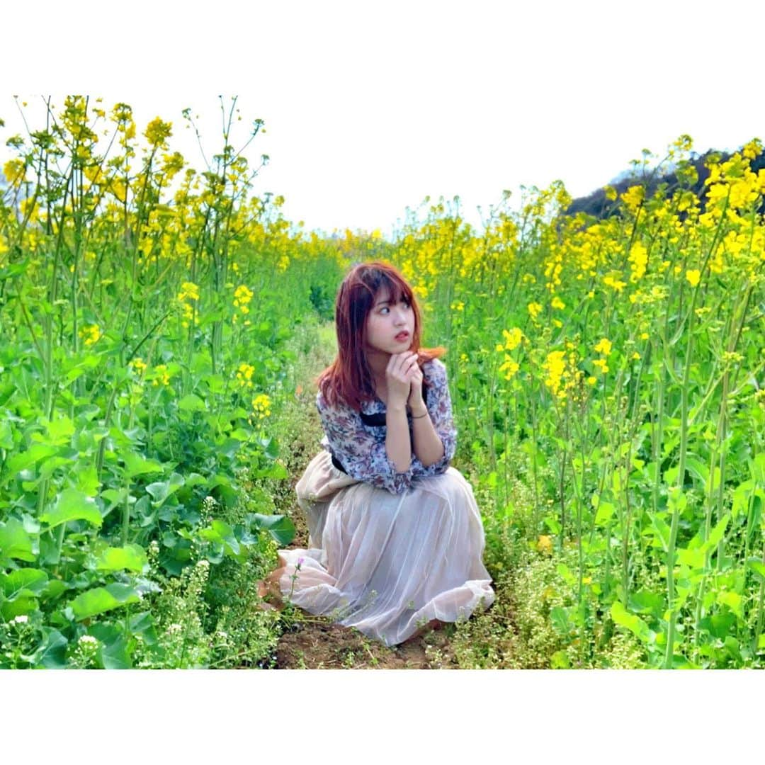 馬嘉伶さんのインスタグラム写真 - (馬嘉伶Instagram)「🍵 . #菜の花 #菜の花畑 #お散歩 #☀️ . 都会ではあまりない 綺麗な空気を吸いに行きました . 写真をいっぱい撮って載せましたが 皆さんは何枚目の写真が好きですか❓ (⚠️#写真は今日のじゃない ) #outfit #tops #skirt #frenchpave #cawaii」3月28日 21時46分 - macyacyarin