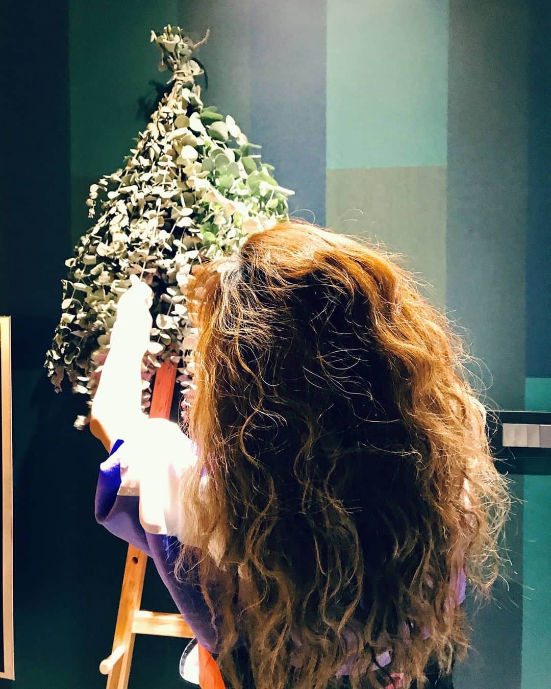 ジョリン・ツァイのインスタグラム：「遇見尤加利葉❤❤❤❤ #eucalyptus #魔法少女的草藥」