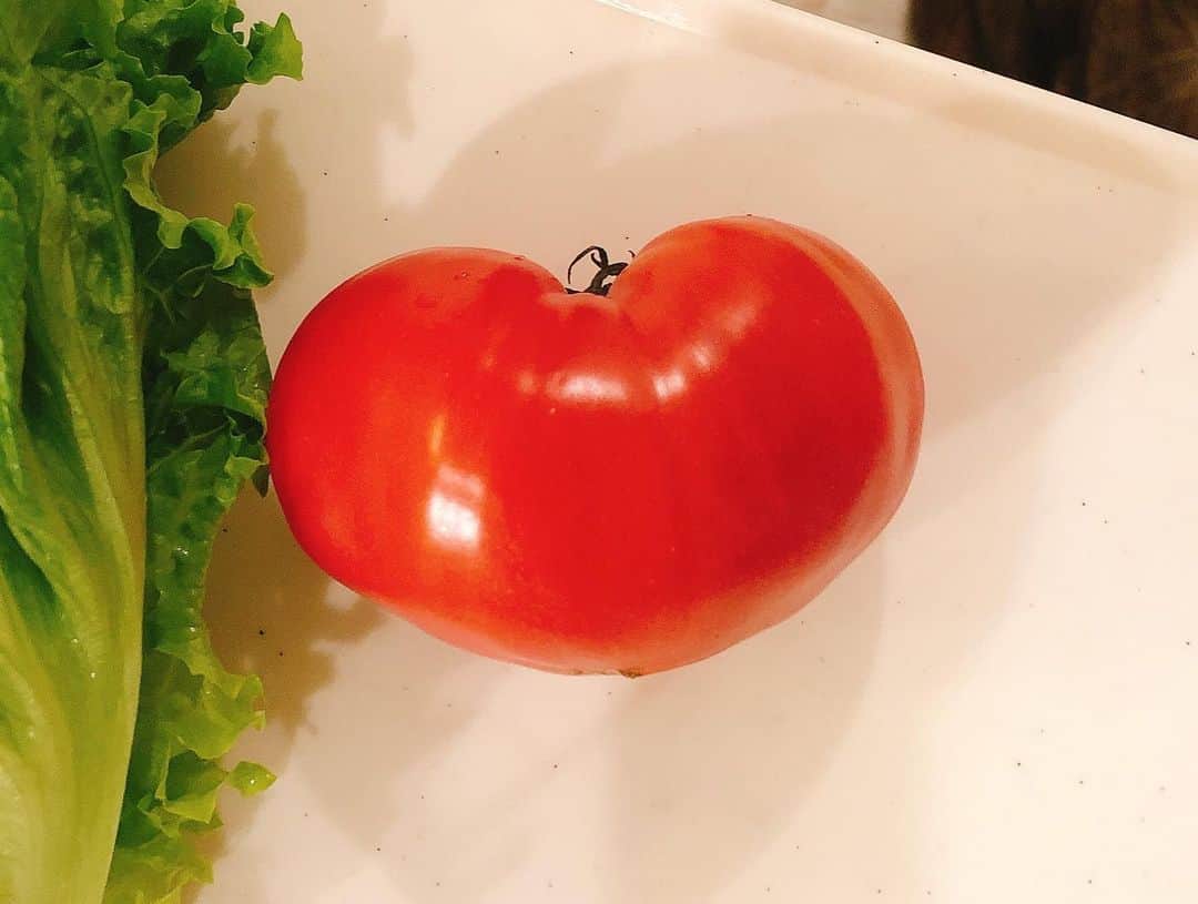岡部亜紀さんのインスタグラム写真 - (岡部亜紀Instagram)「トマトが❤️だった #毎日トマト #おうちごはん」3月28日 21時52分 - akiokabe
