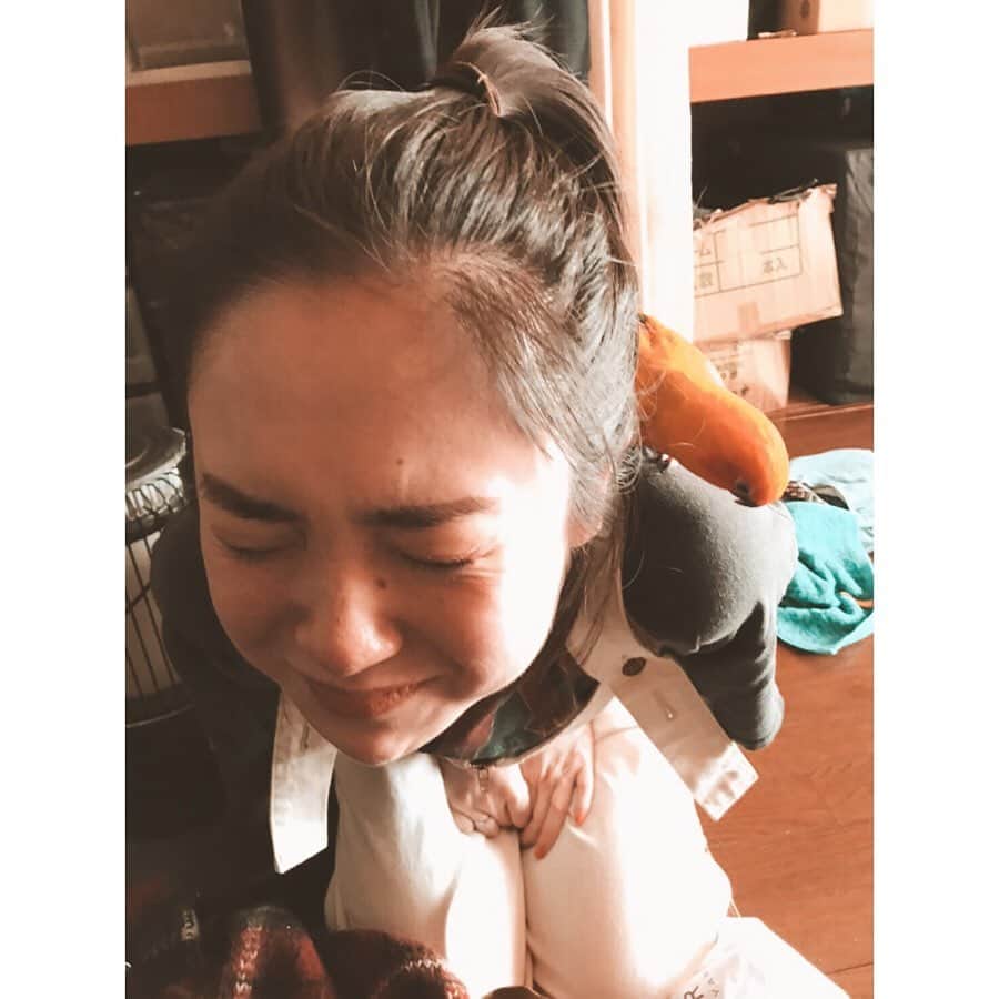 のインスタグラム：「はじめましての、小鳥ちゃん🦜 鳥慣れしてない顔100。 大好き齋藤さんとお仕事。  皆さんお家でゆっくりね。」