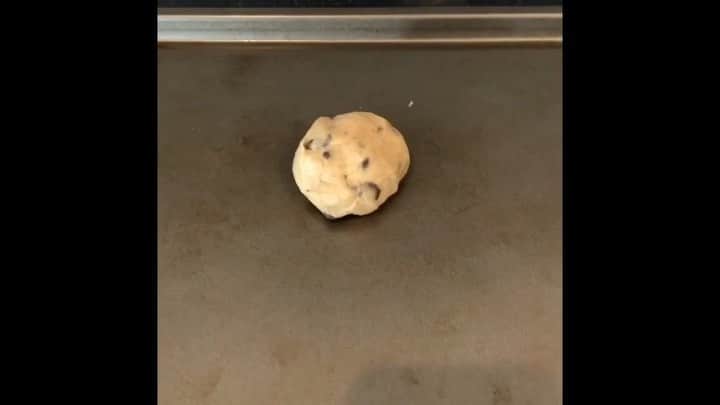 ブレッキン・メイヤーのインスタグラム：「The Story of Cookie #QuaraSweets #CookieTine」