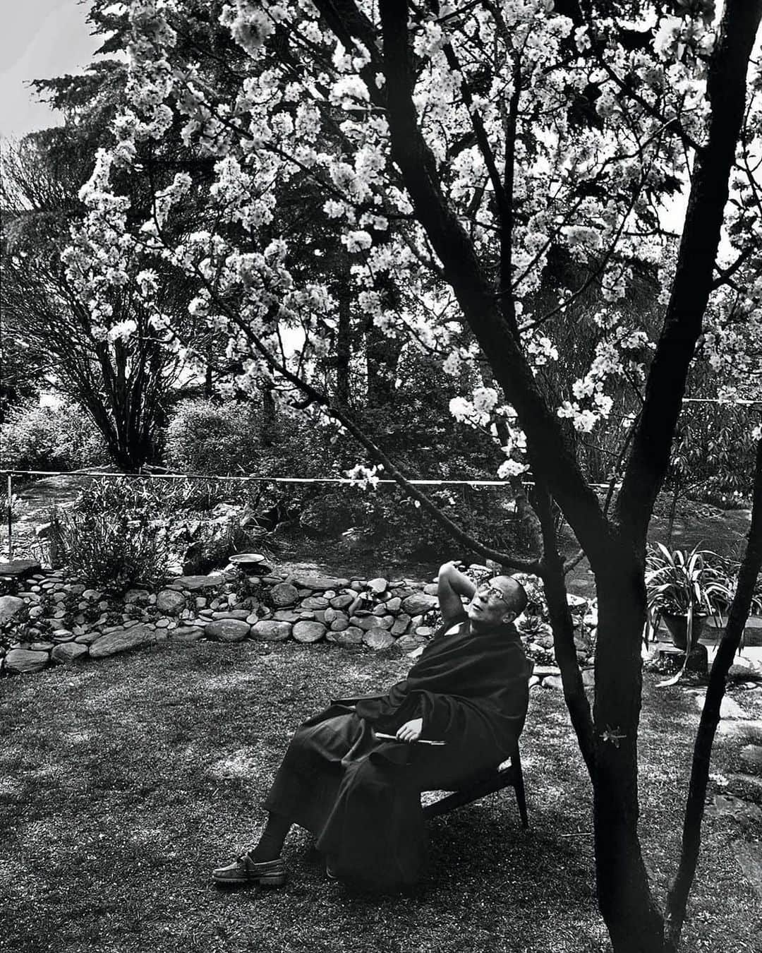 Meganさんのインスタグラム写真 - (MeganInstagram)「At home with the Dalai Lama 〰 photo by Raghu Rai 🌸 #dalailama #raghurai #cherryblossom」3月29日 7時35分 - zanzan_domus