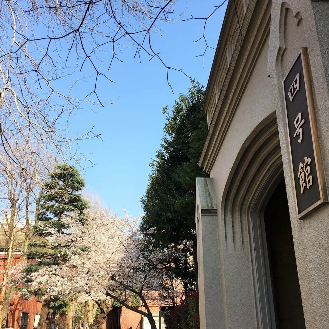 立教大学さんのインスタグラム写真 - (立教大学Instagram)「#桜 #cherryblossom #cherryblossoms #rikkyouniversity #ikebukuro #池袋キャンパス #立教 #立教大学 #coregraphy #photography #ファインダー越しの私の世界  #4号館 #BuildingNo4」3月29日 8時00分 - rikkyouniv