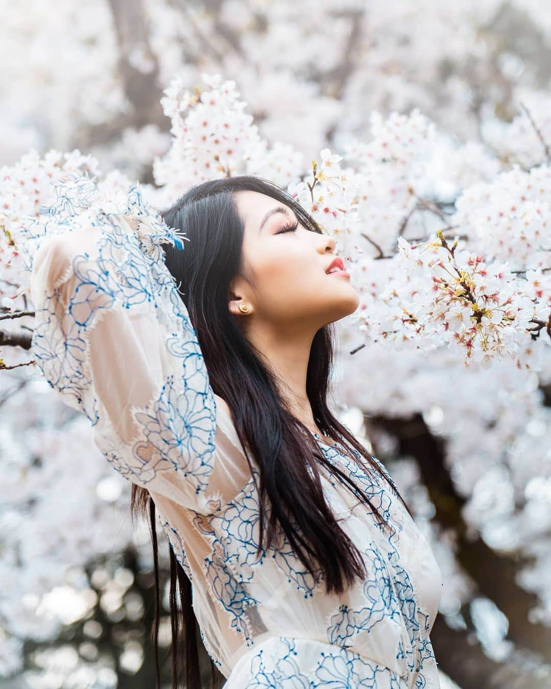 Joshさんのインスタグラム写真 - (JoshInstagram)「I thought I knew what a diamond shined like. .  In frame: @stefatty_ . . . . . . . #さくら #ポートレート #日本 #桜 #東京 #代々木公園  #under10kportraits #moodyport  #portraitphotography #igersjp #sonyportraits #portraits  #japan_vacations #pursuitofportraits #instagramjapan #portraitpage #portraitmood #tokyocameraclub  #createexplore #japanawaits #portraitgames #makeportraits #ig_japan #team_jp_ #japan #shotzdelight #makeportraitsnotwar #moodygrams #portraitkillers」3月29日 0時01分 - joshtaylorjp