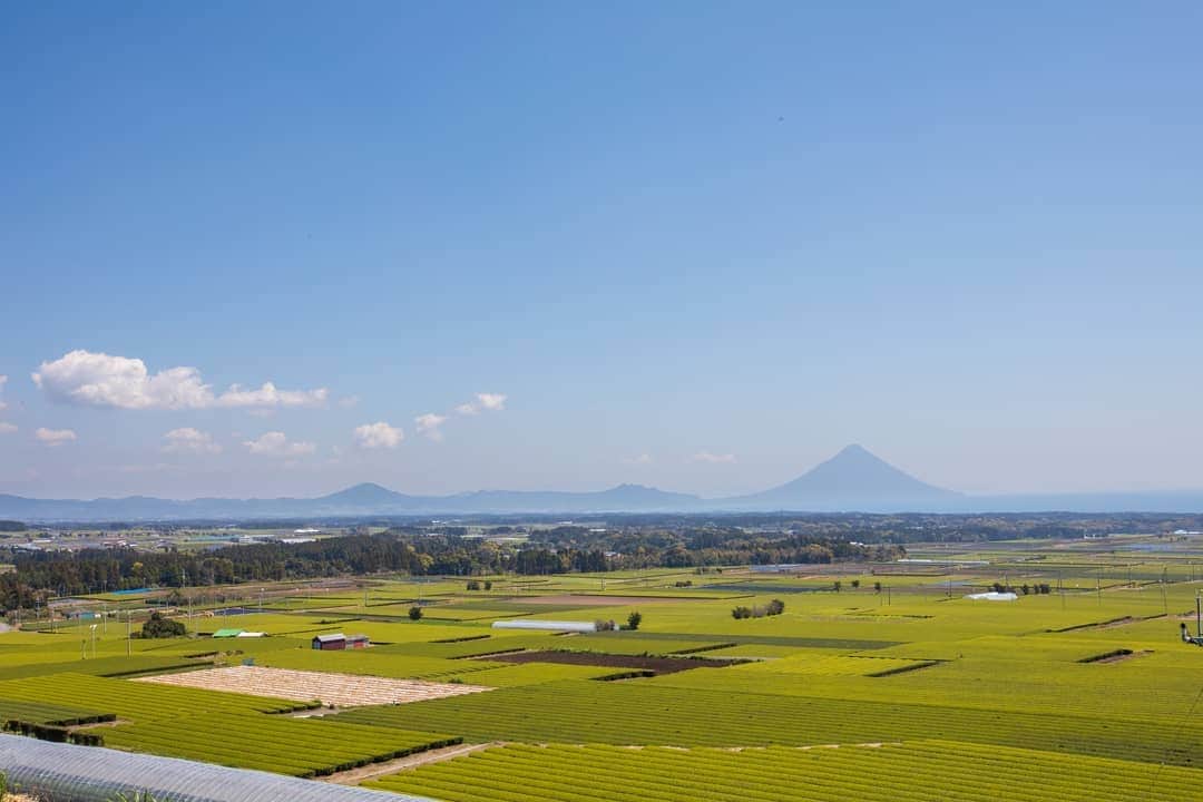 鹿児島よかもん再発見さんのインスタグラム写真 - (鹿児島よかもん再発見Instagram)「枕崎市の中原公園へ(^-^)/ 新茶で輝く茶畑、美しい季節になって来ました！  #鹿児島 #鹿児島観光 #どんどん鹿児島 #枕崎 #枕崎観光  #茶畑 #中原公園 #開聞岳 #新茶 #Kagoshima  #Kagoshimasightseeing #Makurazaki  #Makurazakisightseeing #Teaplantation  #NakaharaPark #Kaimondake  #Newtea #kagoshima #kagoshimaphotograph」3月29日 0時07分 - kagoshimayokamon