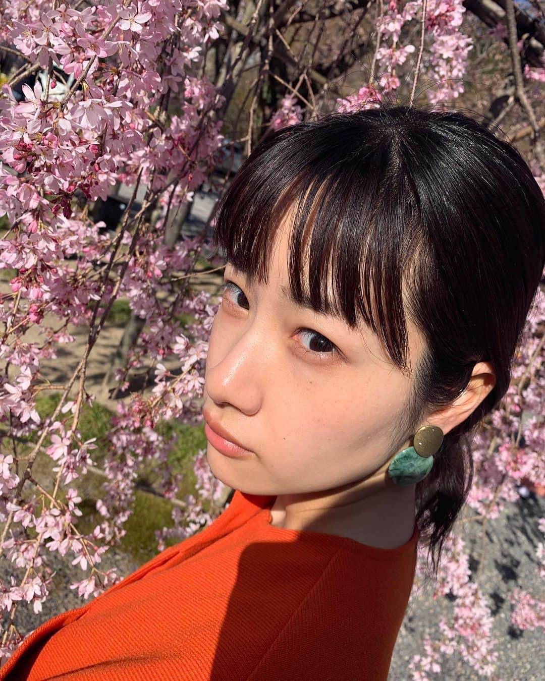 藤間爽子さんのインスタグラム写真 - (藤間爽子Instagram)「コロナで自粛きついですが、今年も桜はたくさん見ることできました🌸 #桜」3月29日 0時09分 - fujimasawako_official