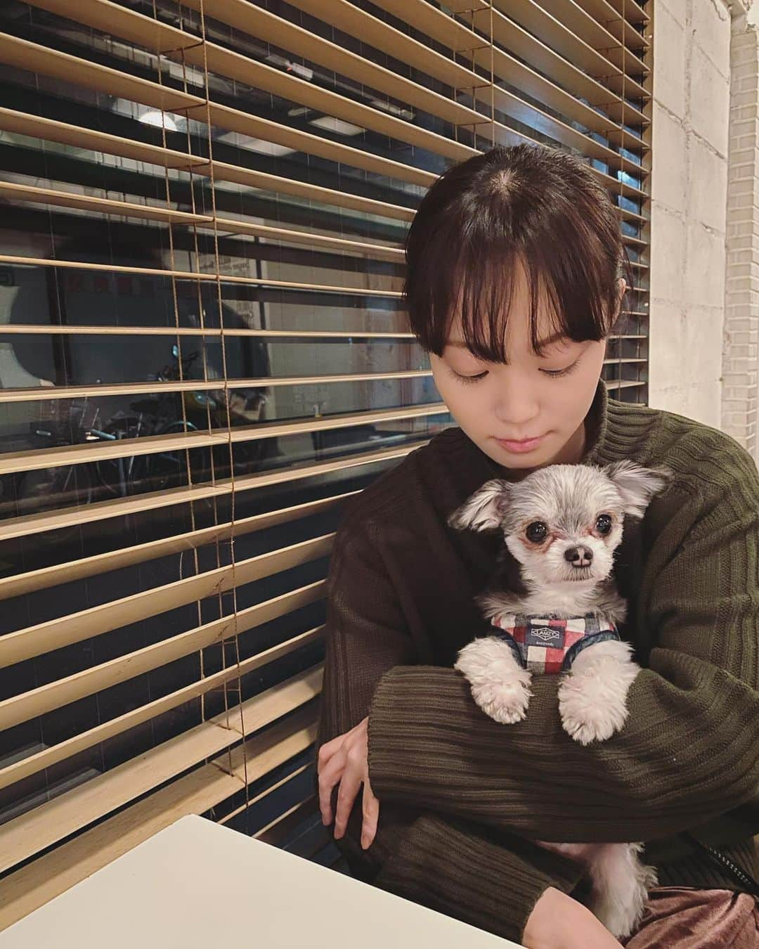 佐藤玲さんのインスタグラム写真 - (佐藤玲Instagram)「ぶぶ先生のお供をさせていただきました🐕‍🦺 いっぱいお歩きになられて、おててがばっちいです先生🐾💚 (2月末) #本日のぶぶさま通信  #ぶぶさま #ぶぶしゃん #ぶぶ先生のお供」3月29日 0時46分 - ryosato19920710