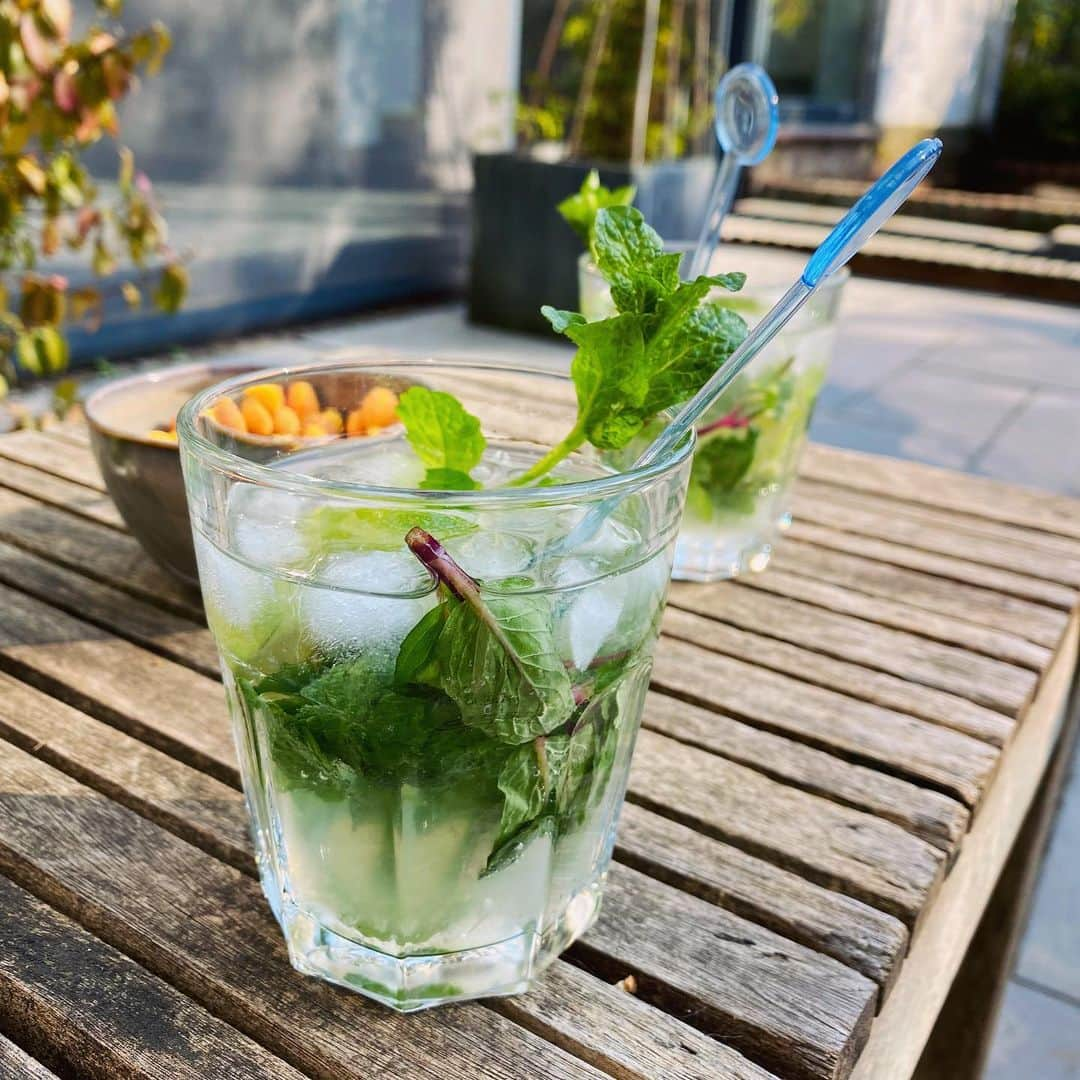 ステファニー・ヨーステンさんのインスタグラム写真 - (ステファニー・ヨーステンInstagram)「Spending a Saturday afternoon in quarantine, why not enjoy some homemade mojitos? Mint leaves straight out of the garden 🌱👌 #cocktailmaking #athome #homemademojito #mint #lime #freshcocktails #quarantinelifestyle」3月29日 1時19分 - stefaniejoosten