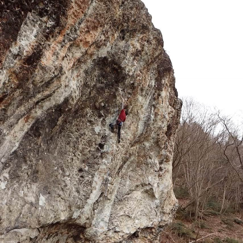 濱田健介のインスタグラム：「Today, I went to Aizutajima and send Ibuki 14a. It was cold and very tired today. But I enjoyed outdoor climbing. 今日は久しぶり、2回目の会津田島の岩場へ。えり @7eri も捻挫が治りきってないので、アプローチの近いリードのエリアってことで。 前回は触らなかった 一歩己 14a にトライ。1トライ目でムーブを固めて、2トライ目できっちり登ることができた。寒くて悴んだし、くそパンプしたけど。。 岩は少し脆いところもあるけど、面白いルートやった。14aにしては少し易しく感じて、体感は13c~dくらいかな？あくまで個人の体感ってことで。。 まあなんにせよ、久々に岩登れたので良かった。たまにはルートもしないとな。 @rockmasterhq  @unparallelup  @organicclimbing  @nogradjustfeeling  @camp1889」