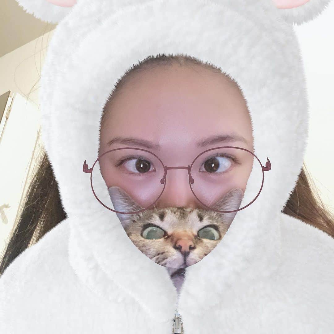 DJ mariennuのインスタグラム：「#stayhome  #🐈 #ねこすたぐらむ を満喫する日々」