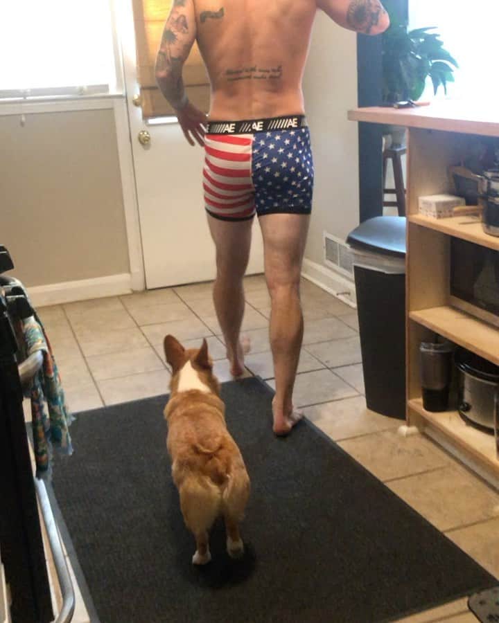 ザッキー・ヴェンジェンスのインスタグラム：「This buds for you. Can’t be 100 if you’re only giving 95. 😂 #budlight #america #corgi #troubleis #wakeupsunshine #senditsaturday #repostplus」