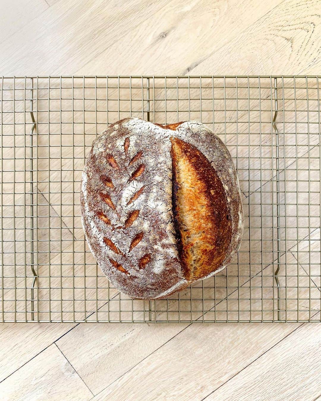コナー・フランタのインスタグラム：「brb leaving this life behind to become a baker bc WHAT!! No, this isn’t a screenshot from Bon Appétit’s page. This is it, folks. The real deal. Big time! After a full week of fostering my own bacteria baby (sourdough starter) in my kitchen cupboard, and 24 hours of folding that gooooood gluten rich dough, I made my first sourdough loaf from scratch! I’ll never be the same. Wow. Life’s little joys amongst utter chaos. 🙂🍞」