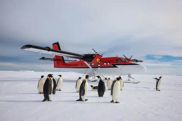 National Geographic Travelさんのインスタグラム写真 - (National Geographic TravelInstagram)「Photo by @PaulNicklen | There are not many places in the world where your flight may be delayed by penguins on the runway. I always chuckle when I see this photo, as it seems like the penguins are waiting to board. Over the last couple weeks, the coronavirus has dramatically transformed the way that humans travel and, while Cristina Mittermeier (@mitty) and I wait it out in voluntary self-isolation, I am even more grateful for the communities that we've built online where it is still possible to connect. Together we can share beautiful images with each other and transport ourselves into other worlds without breaking quarantine.  Come on more virtual vacations with me @PaulNicklen. #coronavirus #Covid_19 #virtualvacations #Hope #Penguins」3月29日 17時08分 - natgeotravel