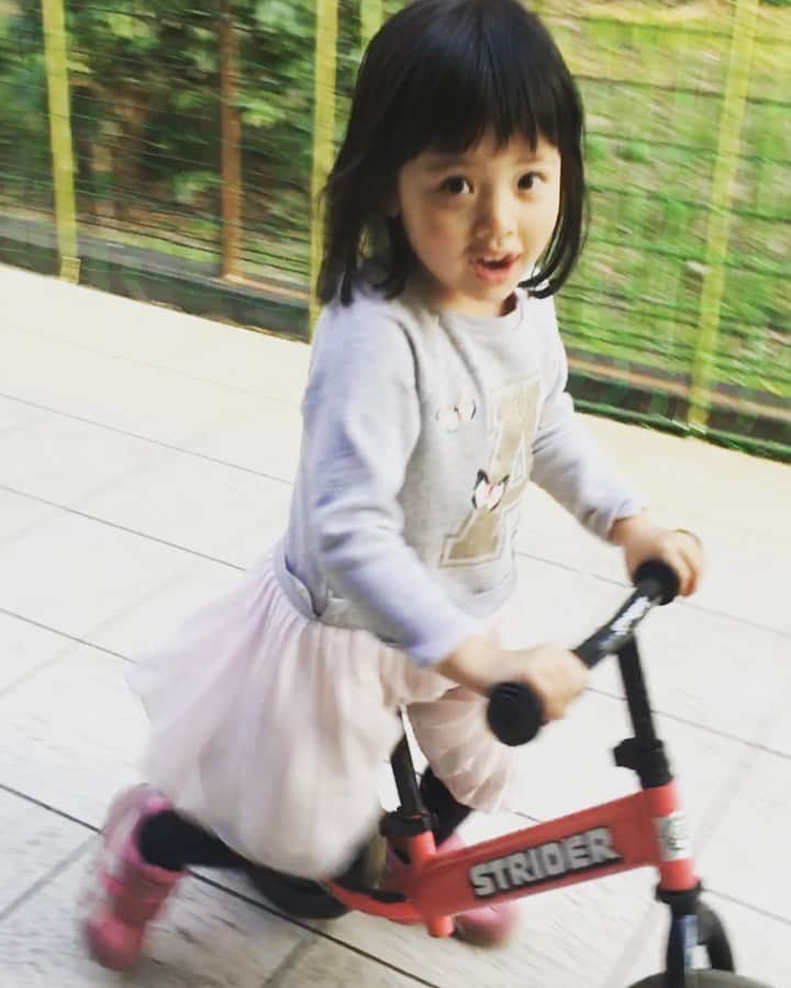 今村沙緒里のインスタグラム：「自転車みたいな☺︎ 乗り物乗りこなしてました🛹 かわいい顔して 大胆で、ワイルド。 (好きな女性のタイプ🕶) いろいろを乗り越えながら すくすく育ってほしいです＊ ・ Cute and wild girl！ I'm looking forward to her growth💕 ・ #child #girl #cute #wild #hope #love #아이 #귀여워 #ワイルド #ストライダー #ドヤ顔も #かわいい」