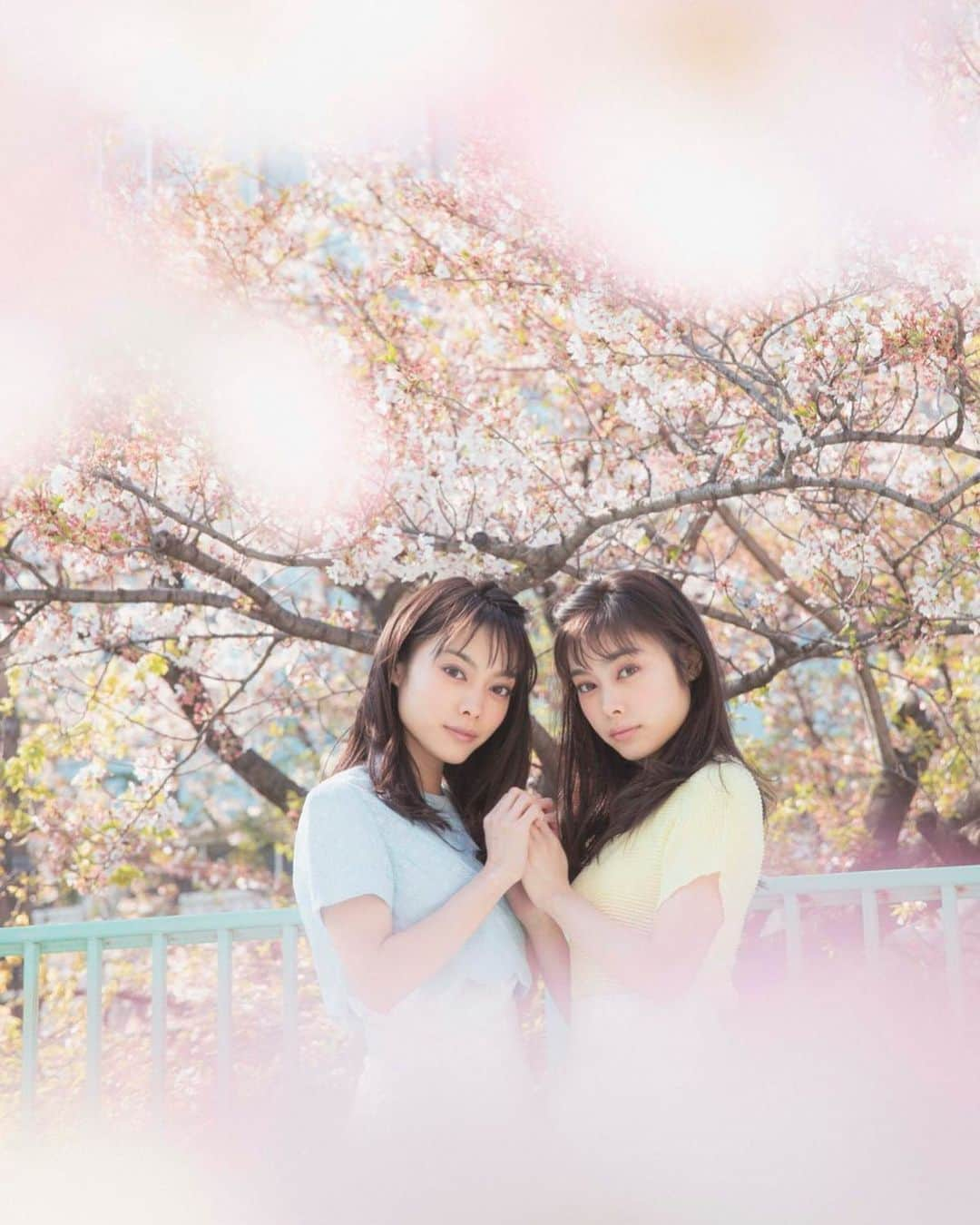 MIOさんのインスタグラム写真 - (MIOInstagram)「🌸 . . #桜#作品撮り#ポートレート#被写体#双子#双子モデル #photography#photographer#portrait#twins#twinsmodels#makeup#hairmake#MIOYAE」3月29日 17時14分 - mio_abp