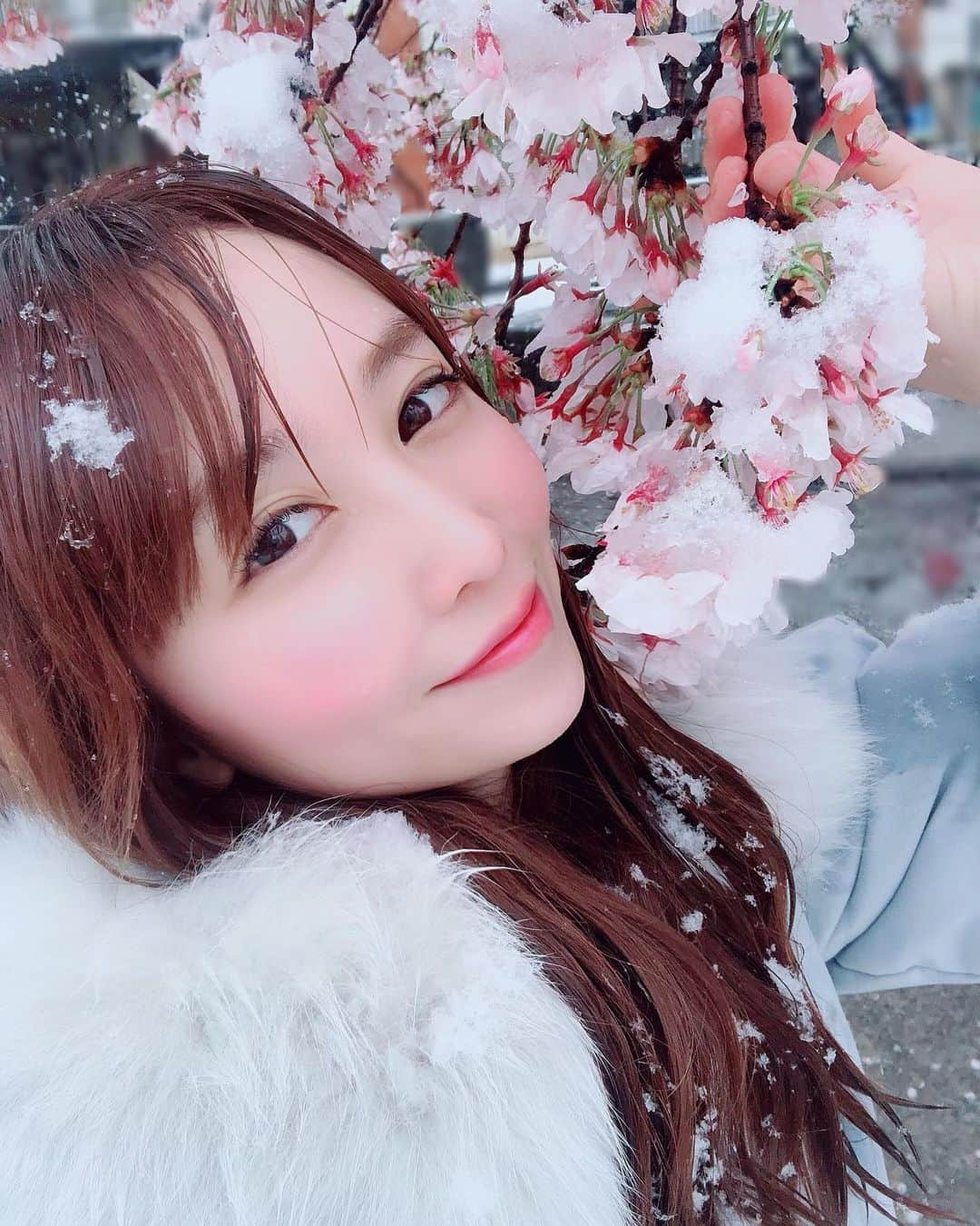 長久梨那さんのインスタグラム写真 - (長久梨那Instagram)「． 雪と桜と私❄️🌸 #雪 #桜 #雪桜 #雪景色 #美しい #景色 #絶景 #インスタ映え #フォトジェニック #自撮り #セルフィー #写真 #誕生日 #アナウンサー #女子アナ #女優 #フォローミー #japan #girl #snow #blossom #cherryblossom #beautiful #beauty #view #selfie #photography #photooftheday #instapic #followme」3月29日 17時20分 - rinanagahisa