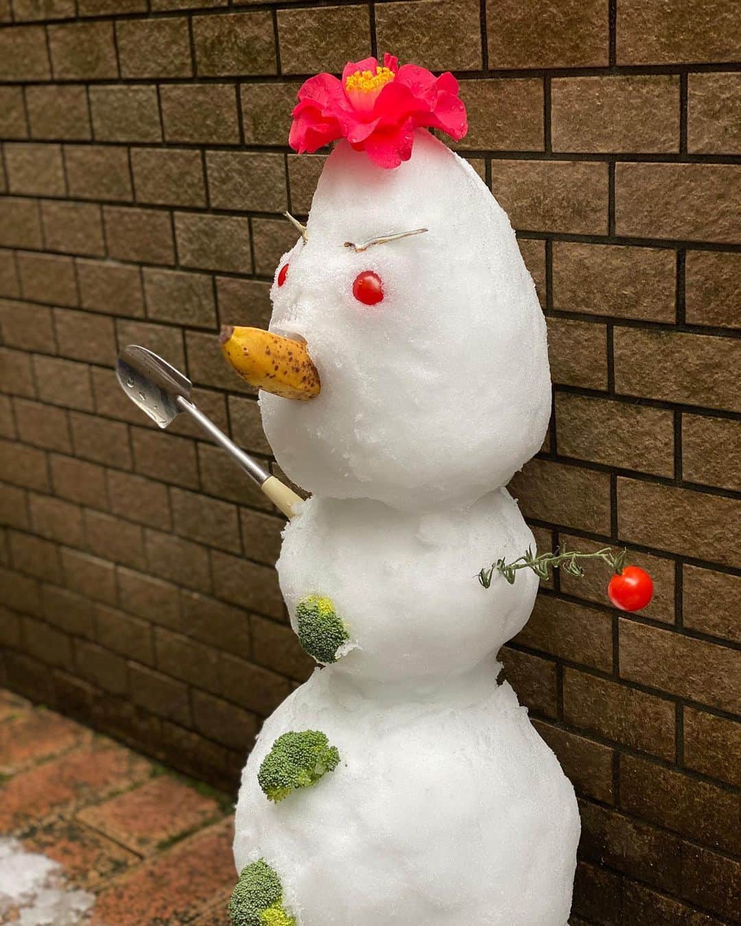 品川祐さんのインスタグラム写真 - (品川祐Instagram)「自宅で家族で雪だるまを作った。 家族でマスクを着けて雪だるまをせっせと作る姿はなかなかに不気味。 でも、明るくてご機嫌なヤツが完成しました‼️ #目トマト #鼻バナナ #眉煮干 #ボタンブロッコリー #運動不足解消」3月29日 18時09分 - shinashina0426