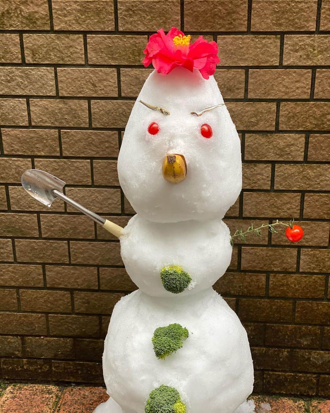 品川祐さんのインスタグラム写真 - (品川祐Instagram)「自宅で家族で雪だるまを作った。 家族でマスクを着けて雪だるまをせっせと作る姿はなかなかに不気味。 でも、明るくてご機嫌なヤツが完成しました‼️ #目トマト #鼻バナナ #眉煮干 #ボタンブロッコリー #運動不足解消」3月29日 18時09分 - shinashina0426