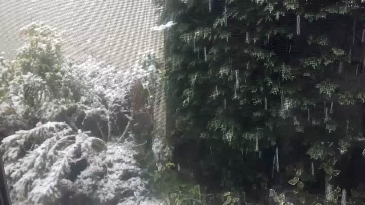 のインスタグラム：「昨日昼の都内の気温24.6℃から、今日はガラリと変わり、予想気温は2℃…。真冬の寒さになり、一部地域ではすでに積雪も見られています。  急激な気温の変化は体調を崩す原因になります。今日も外出は控えていただき、室内の温度調整にも気配りしながら、くれぐれも体調管理に充分ご注意ください。 #コロナに負けるな  #StayHomeStaySafe」