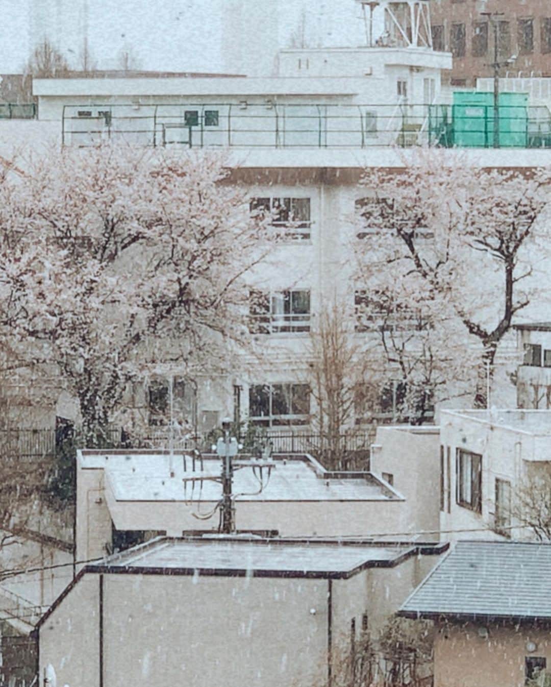 日下裕江さんのインスタグラム写真 - (日下裕江Instagram)「本当に雪降ってきた∘☃* 春雪🌸 昇雪∘☃* 桜と共に雪というのも 素敵だね💓  #雪降って来た #雪 #春雪 #昇雪 #桜雪 #粉雪 #おうち時間 #snow #springsnow」3月29日 9時43分 - hiroe___h