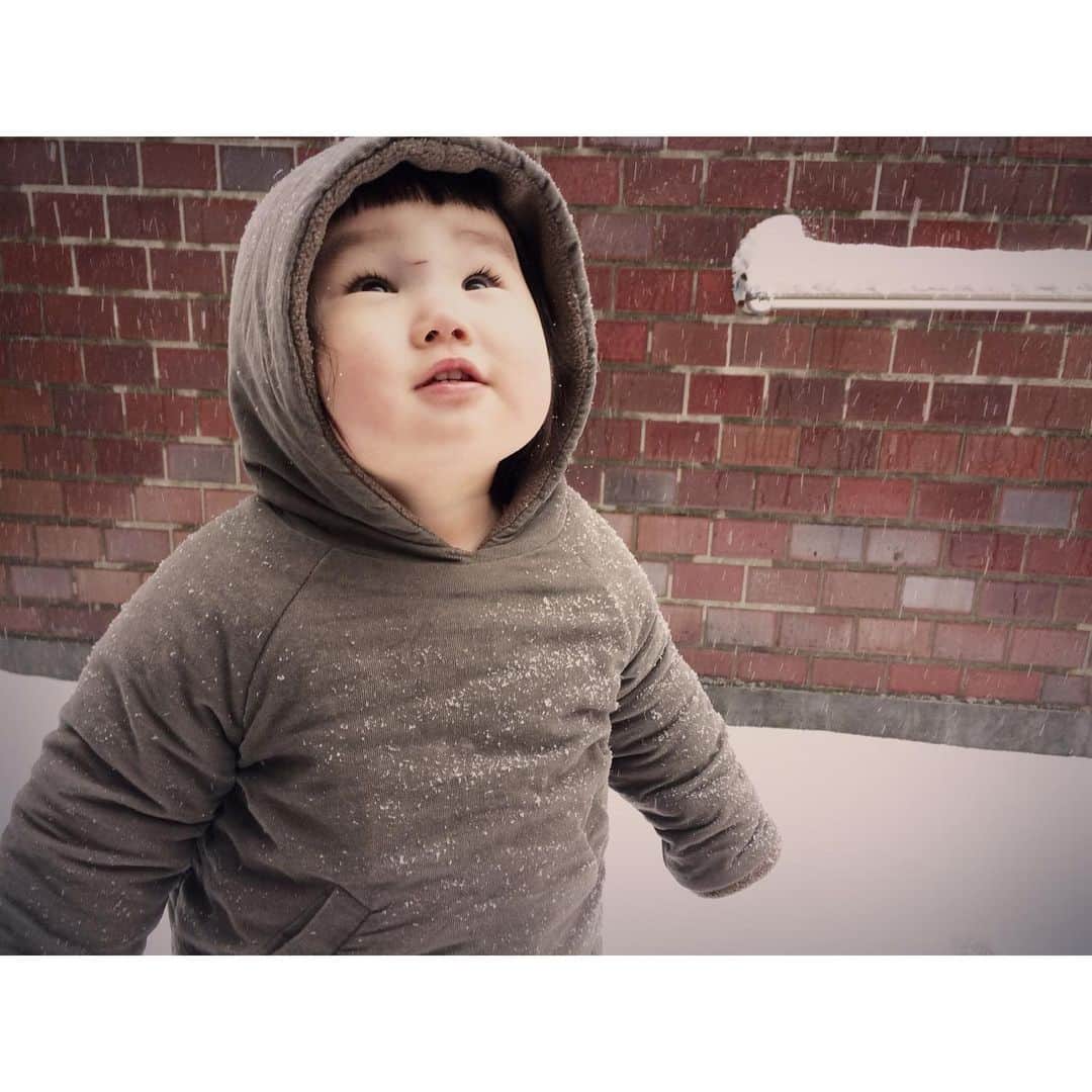 omatsuriccoのインスタグラム：「#今日のドルジ 2020.3.29 ・ 3月末なのに結構な雪.☃︎.'.°☽ ・ という事で初めて雪を噛み締める懐かしいドルジ。 ローテブルにぶつけて出来てる眉間の傷が痛々しい・・・ だいぶ分からなくなったけど薄い傷跡・・・ごめんよ。 ・ もちろん、今日は引きこもりだよ～╰( Ｗ )╯ 寒い寒い🥺 ・ みなさんの地域も雪かな？ 天気も心も早く晴れやかになりますように🌞 ・ 春は必ず来る🌸 ・ #なつかしドルジ ・ #親バカ部 #kidsgram_tokyo #kidsgram_japan #ig_kids #kids_japan #懐かしい写真 #懐かしいシリーズ #春は必ず来る」