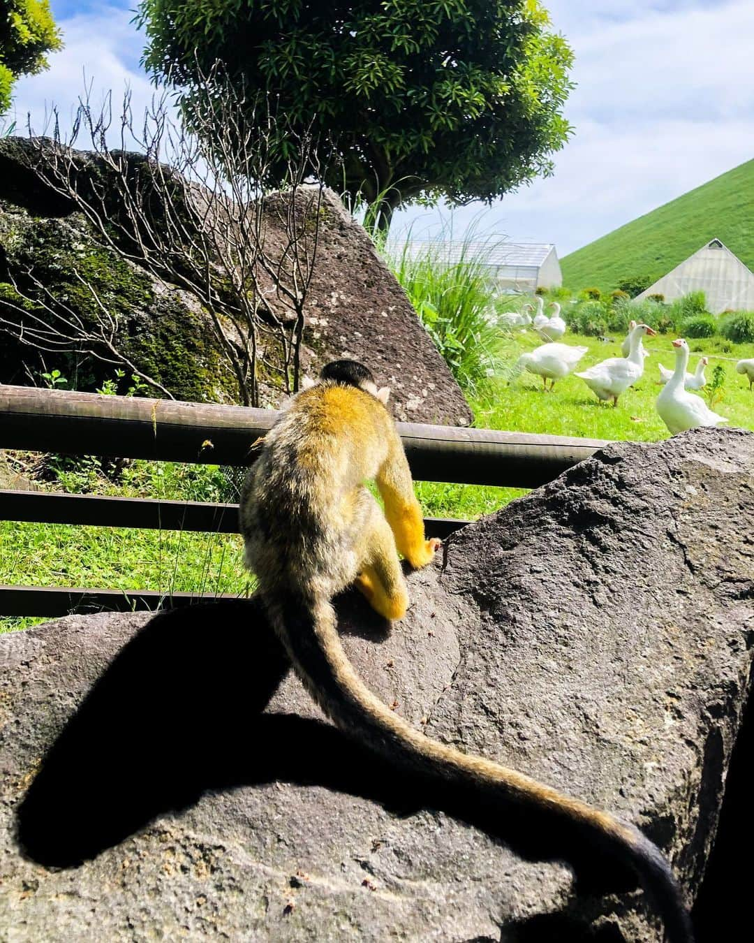 野尻智紀のインスタグラム